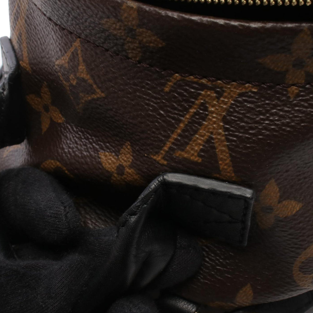 Louis Vuitton Monogram Mini Palm Springs