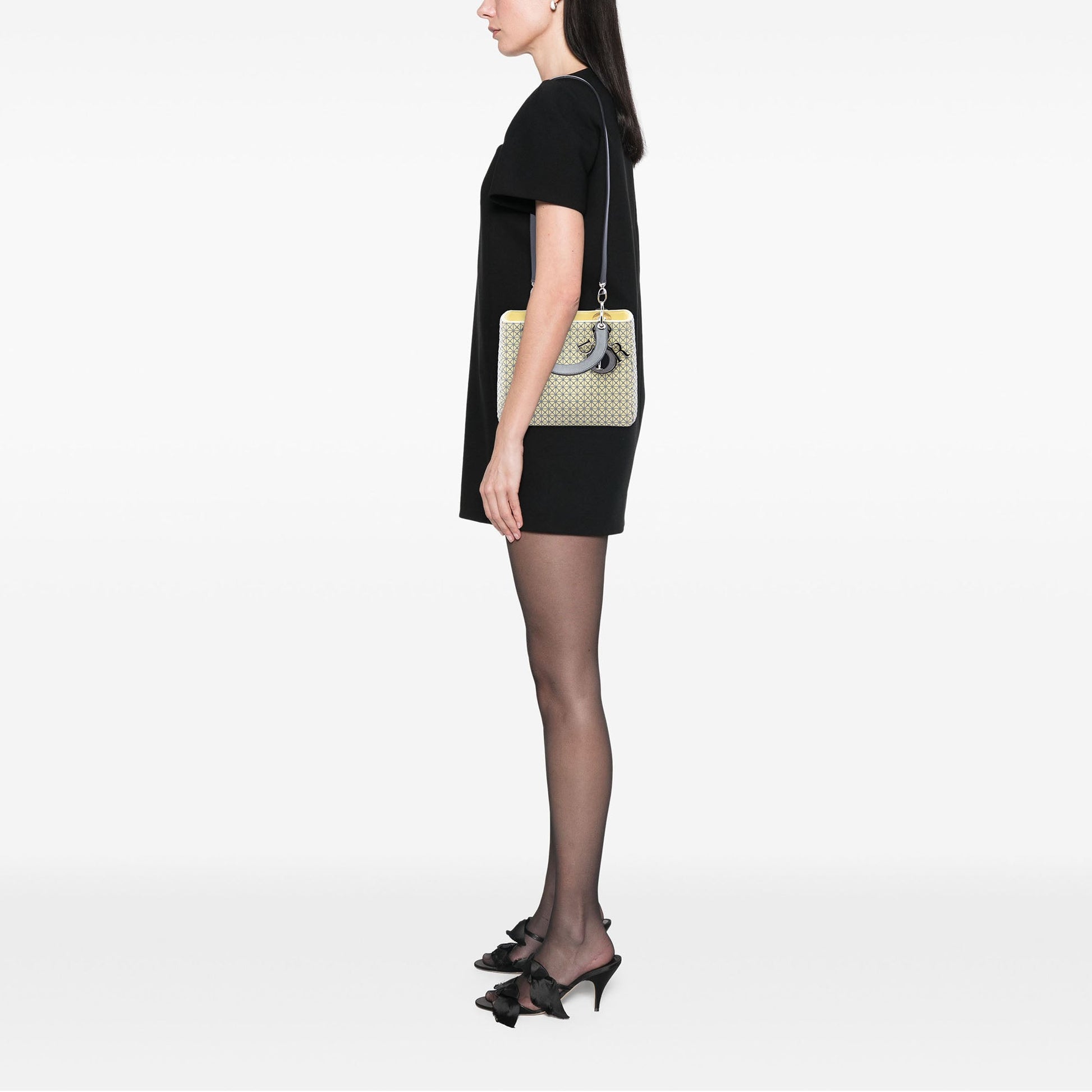 Dior Medium Embroidered Lambskin Microcannage Lady Dior