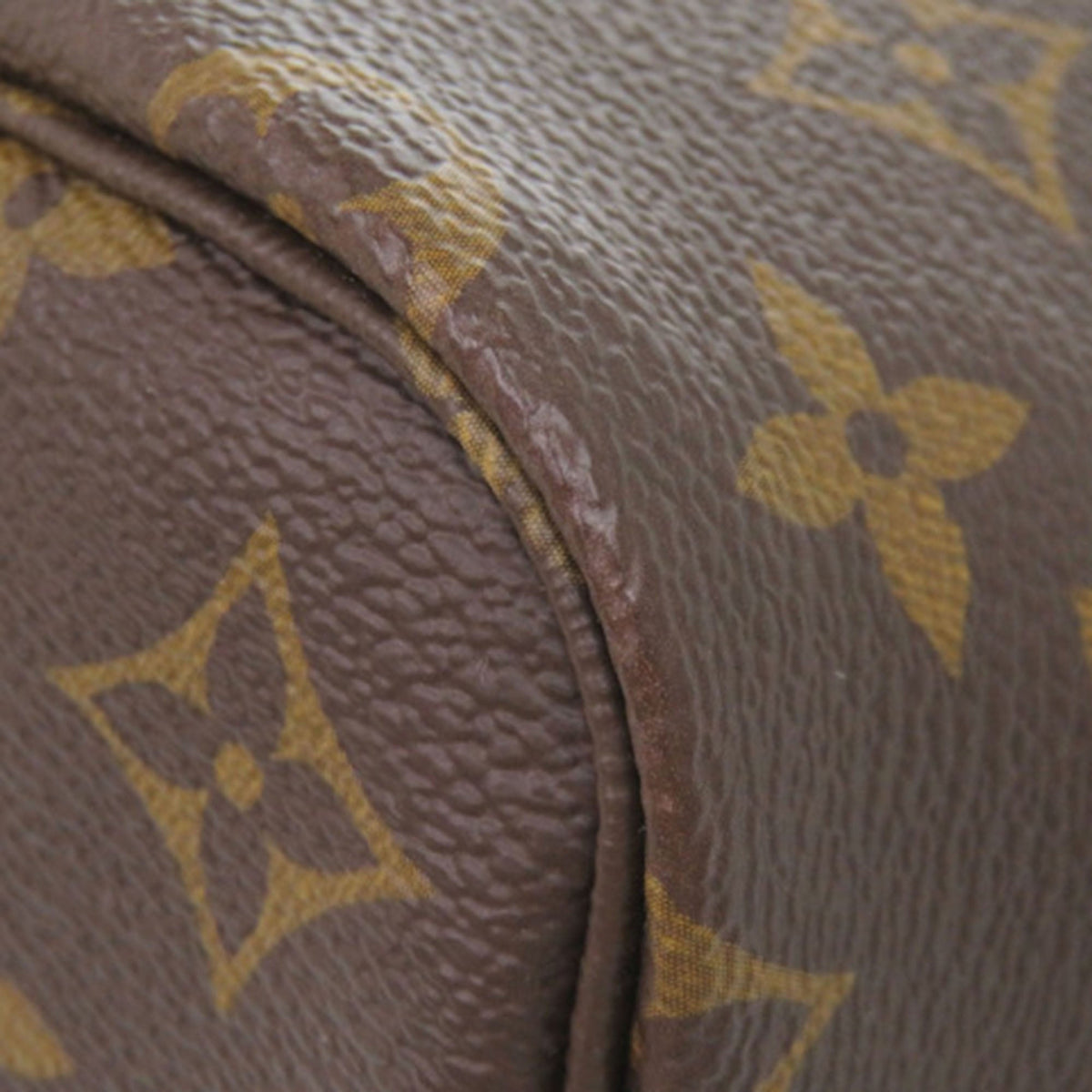 Louis Vuitton Monogram Neverfull PM