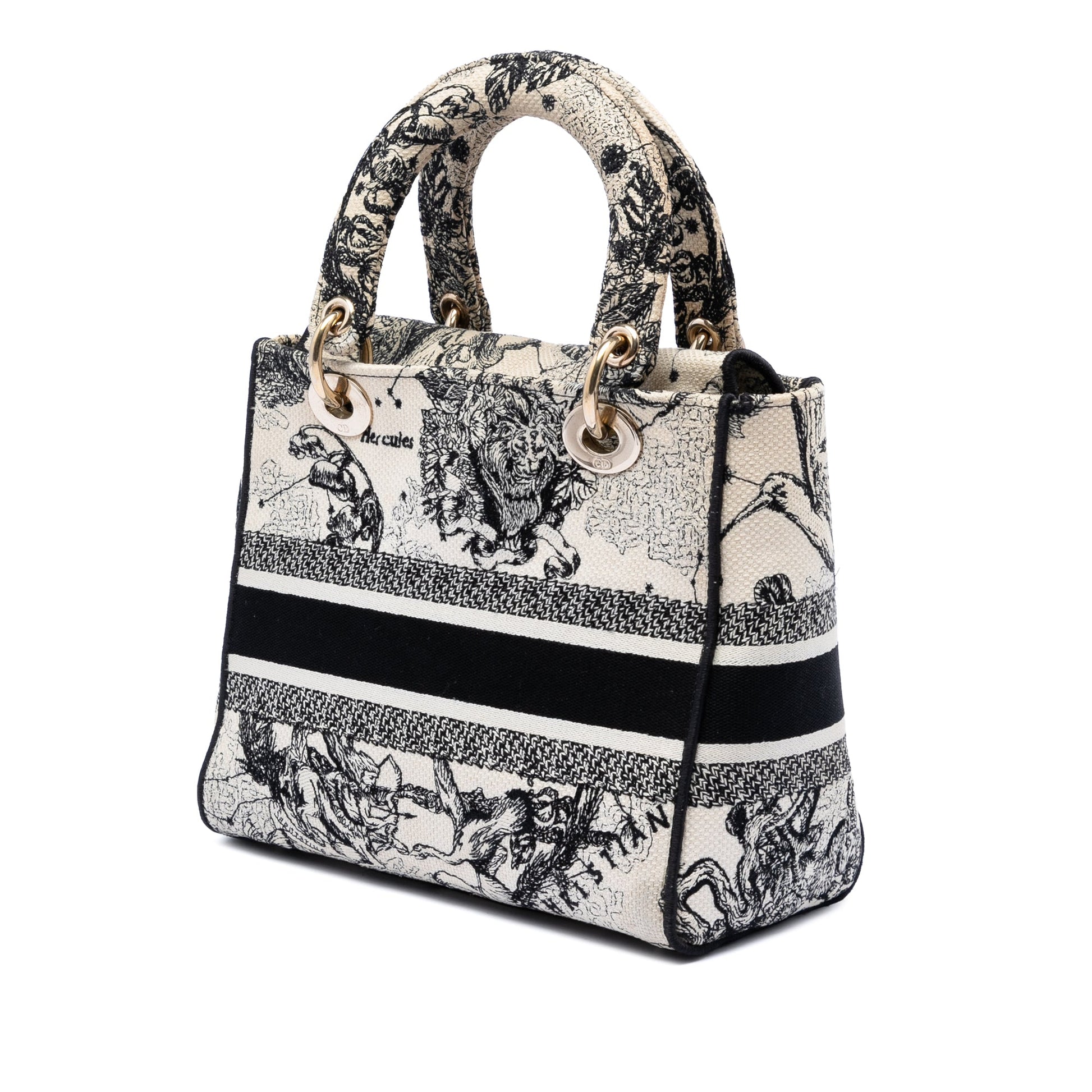 Dior Medium Embroidered Canvas Zodiac Lady D Lite