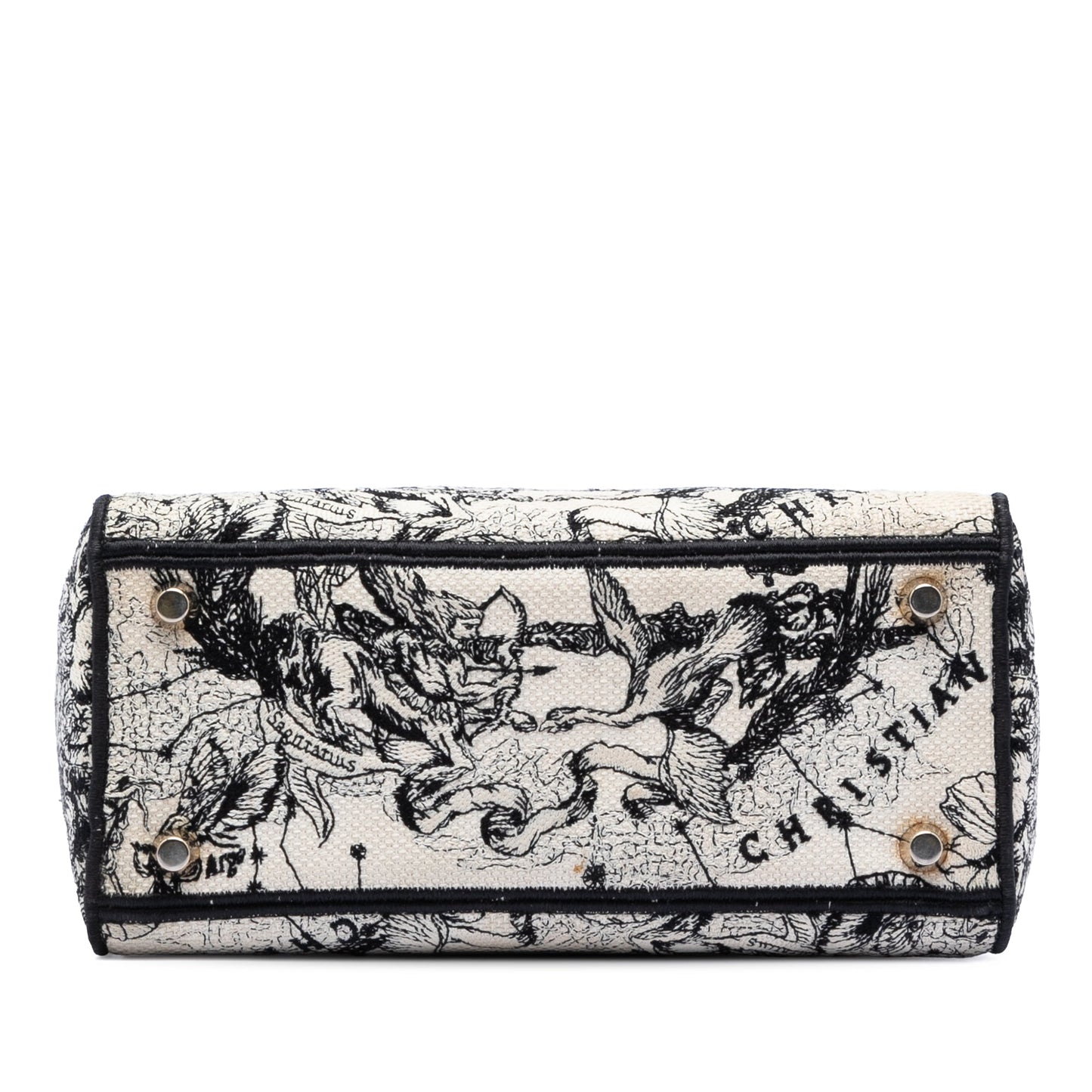 Dior Medium Embroidered Canvas Zodiac Lady D Lite
