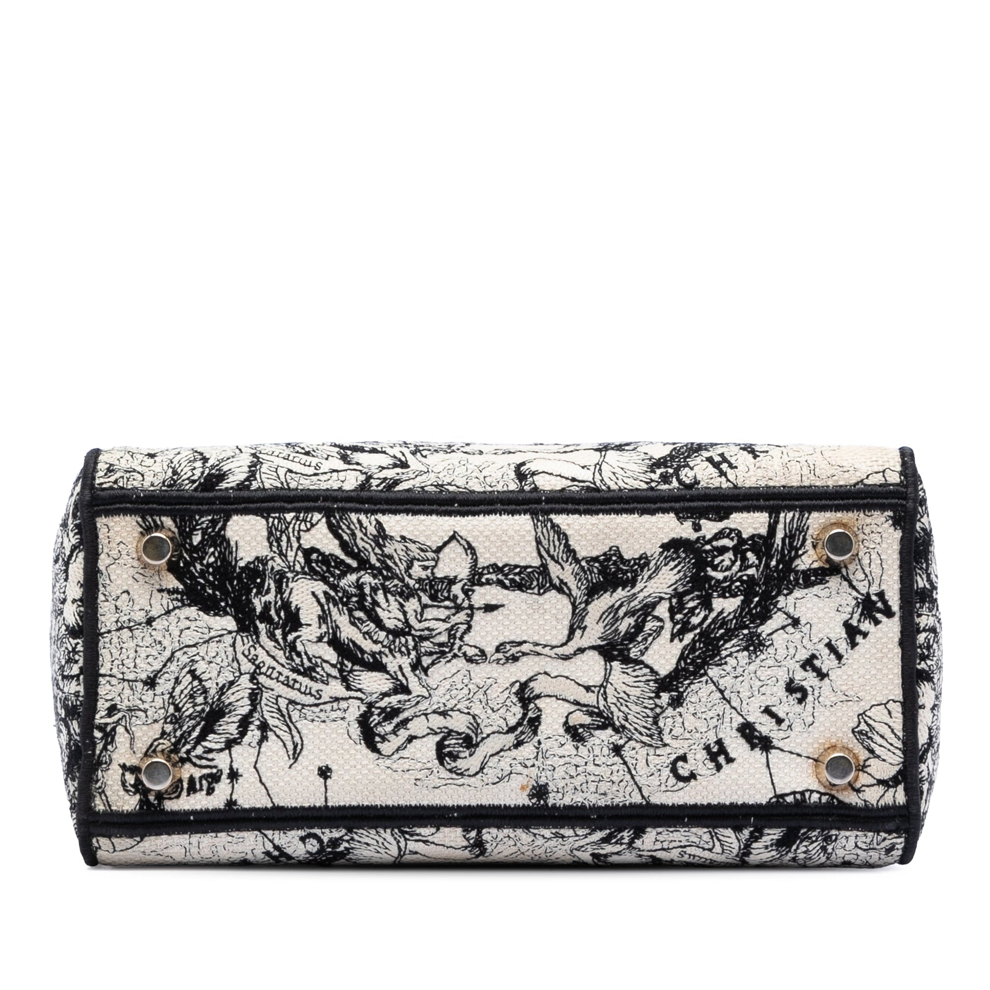 Dior Medium Embroidered Canvas Zodiac Lady D Lite