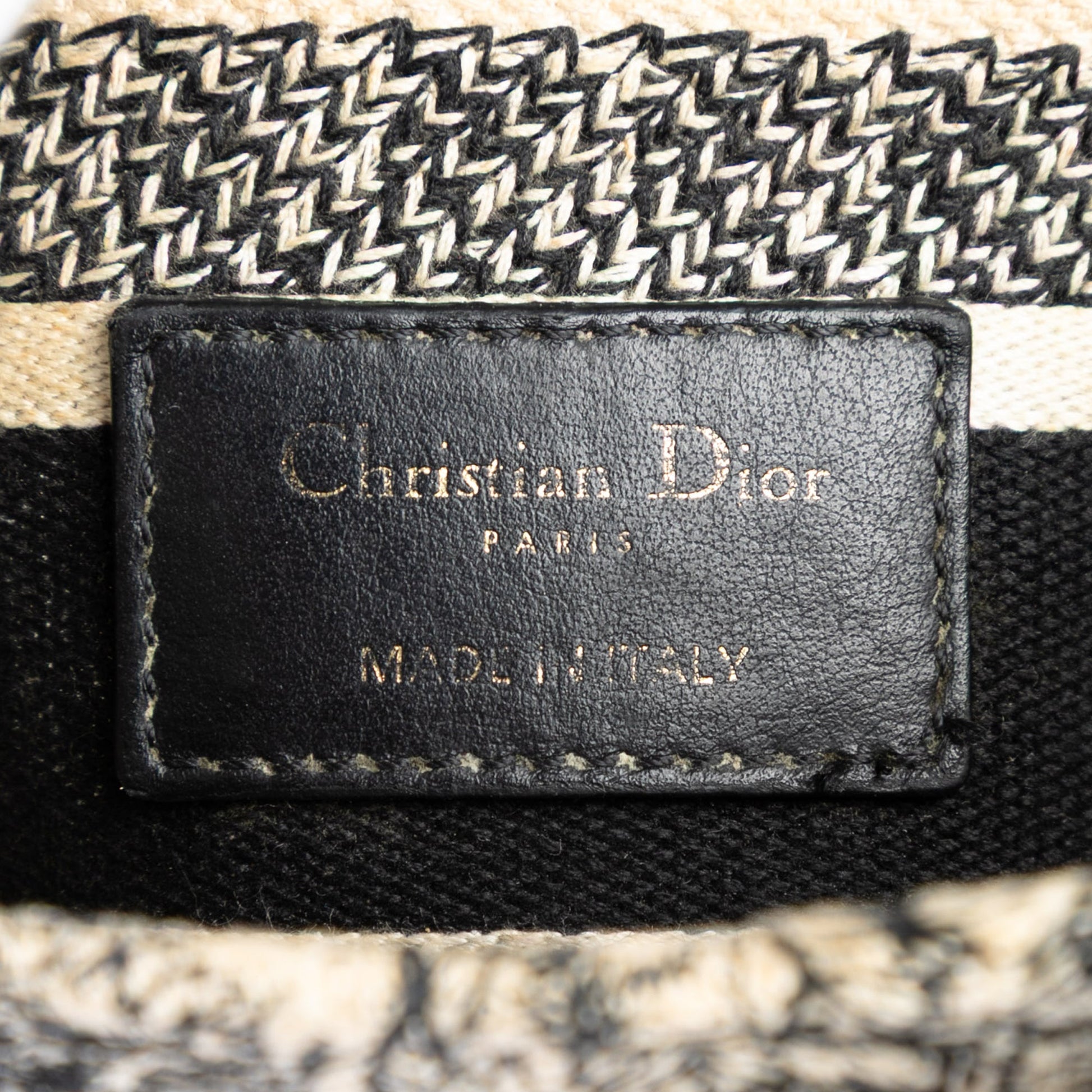 Dior Medium Embroidered Canvas Zodiac Lady D Lite