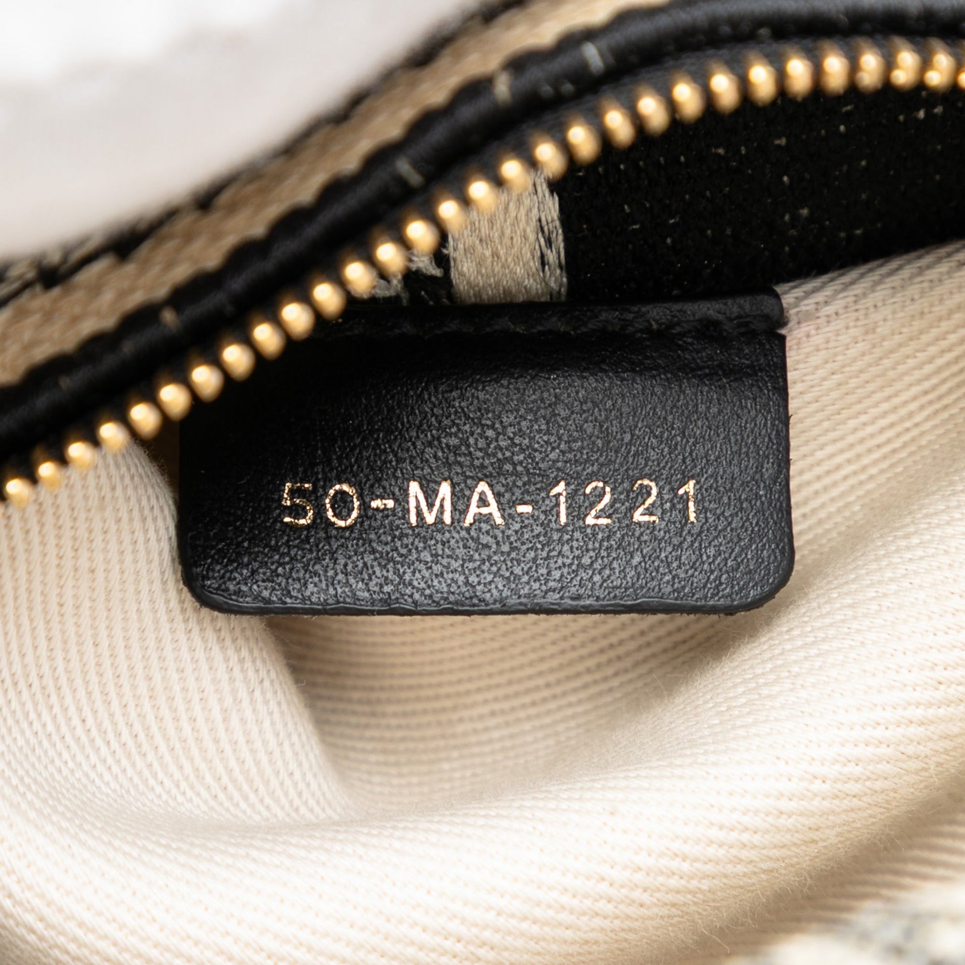 Dior Medium Embroidered Canvas Zodiac Lady D Lite