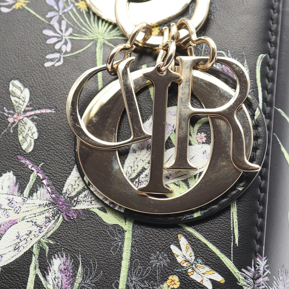 Dior Small Calfskin Florilege Lady Dior