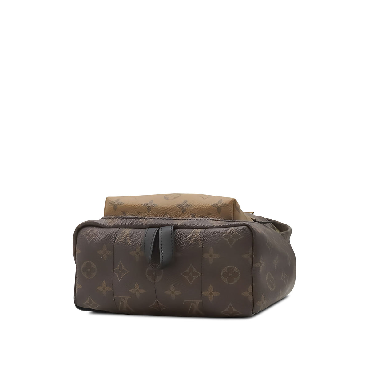 Louis Vuitton Monogram Reverse Palm Springs PM — Brown