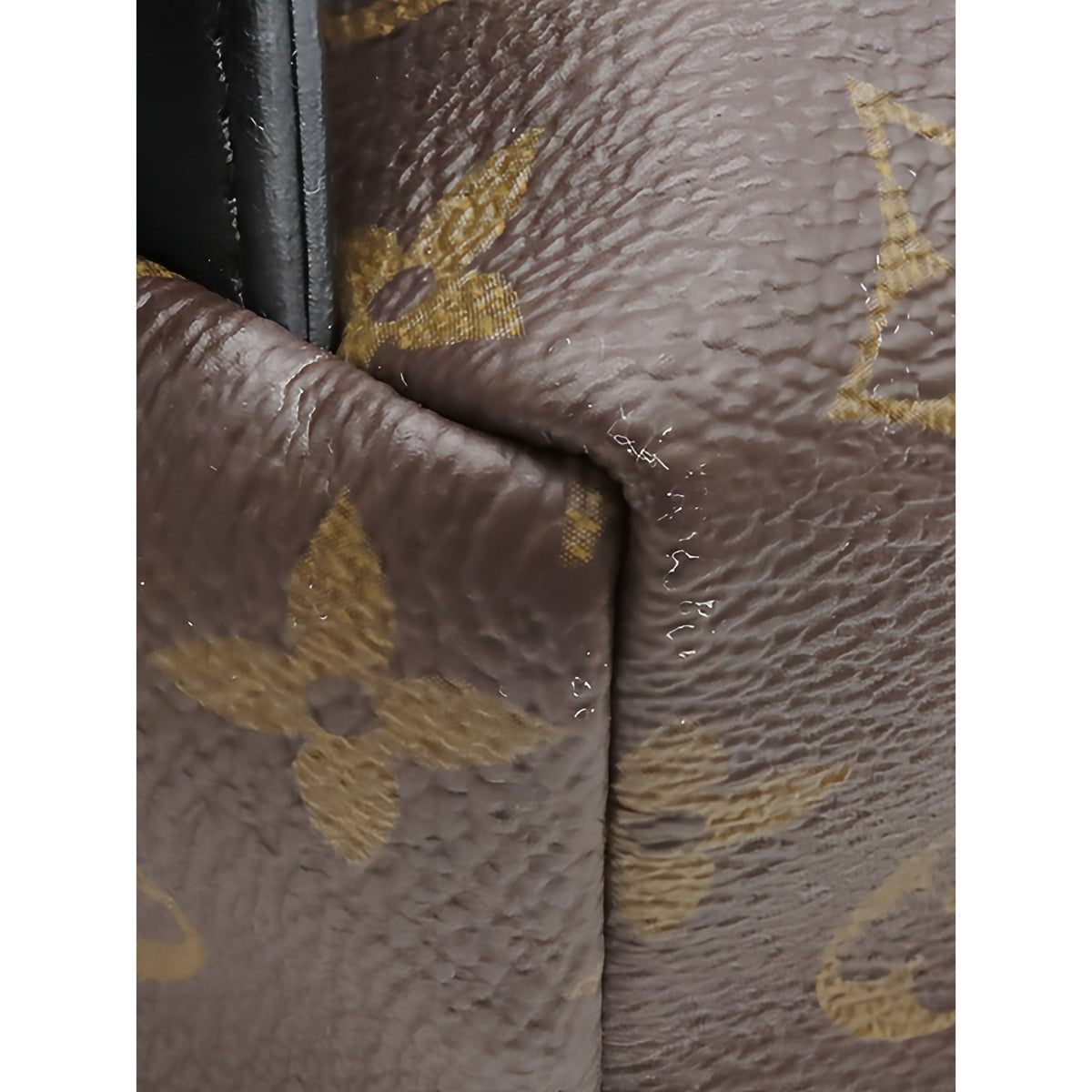 Louis Vuitton Monogram Reverse Palm Springs PM — Brown