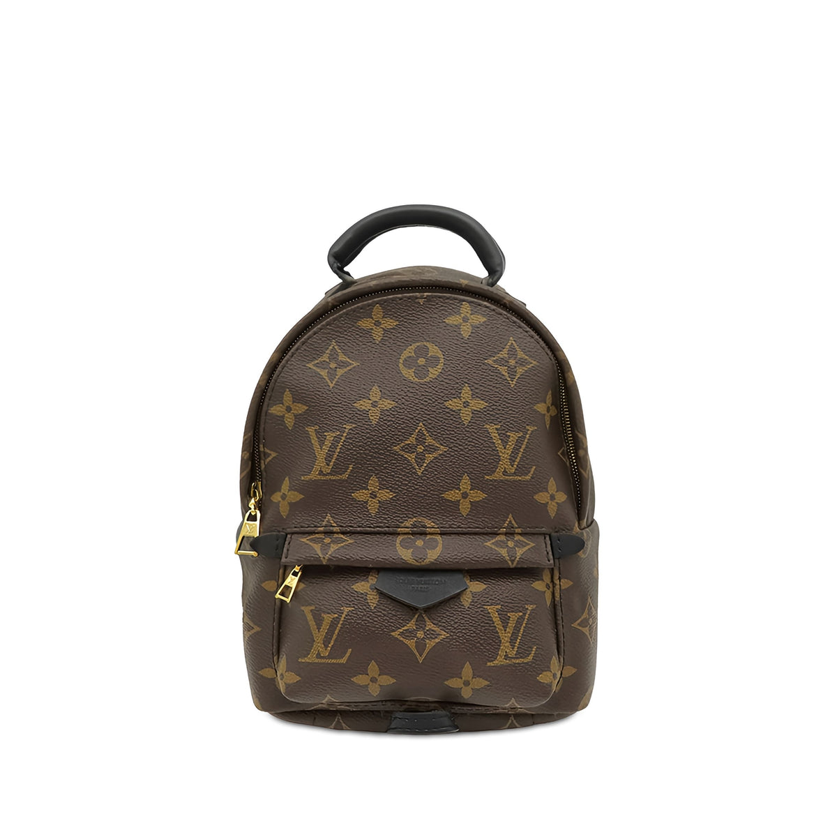 Louis Vuitton Monogram Mini Palm Springs — Brown