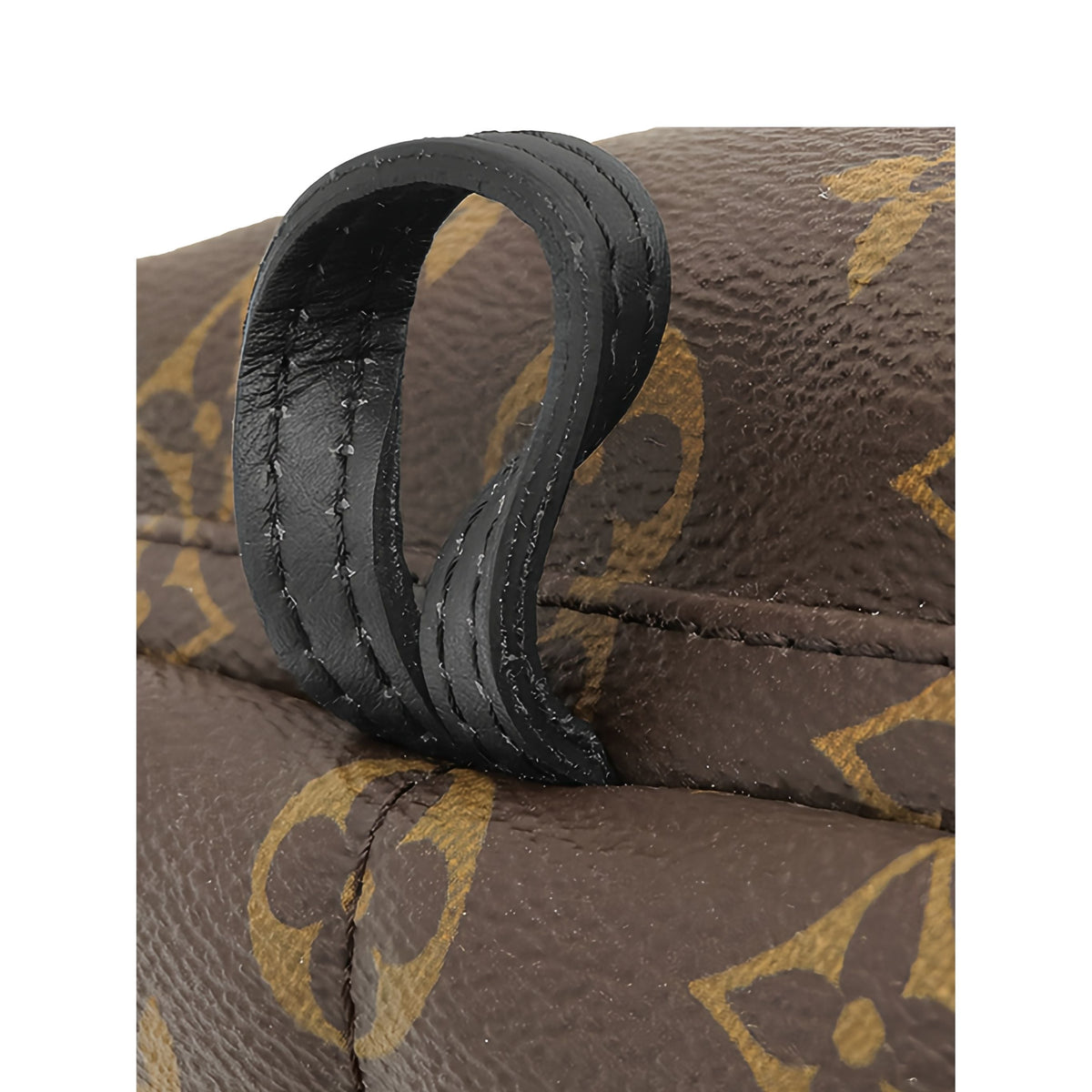 Louis Vuitton Monogram Mini Palm Springs — Brown