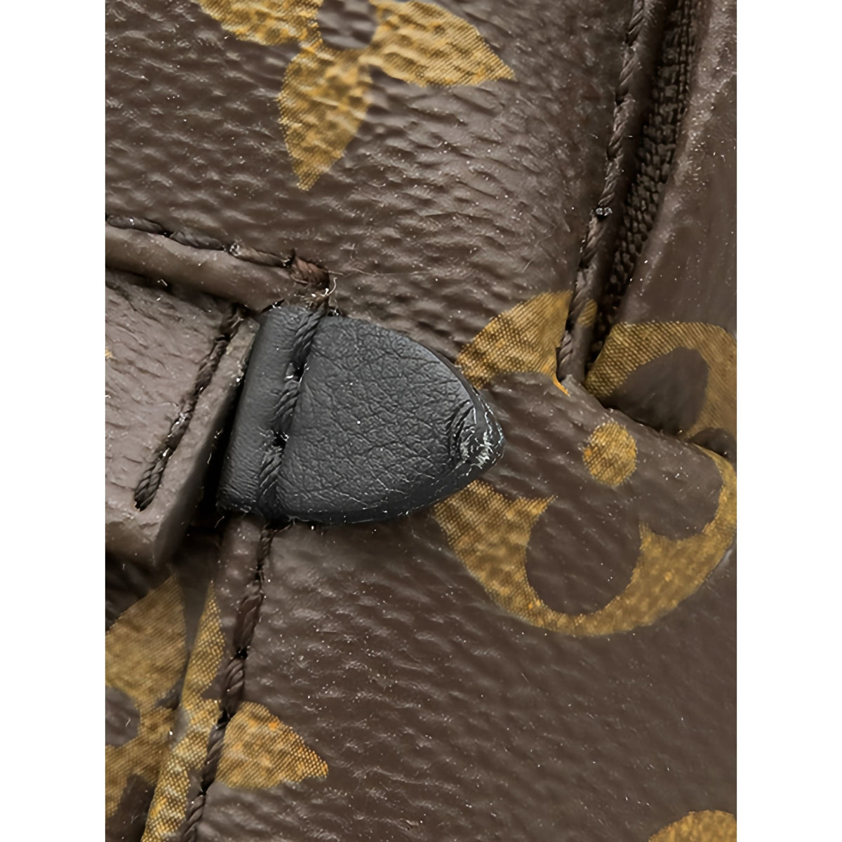 Louis Vuitton Monogram Mini Palm Springs — Brown