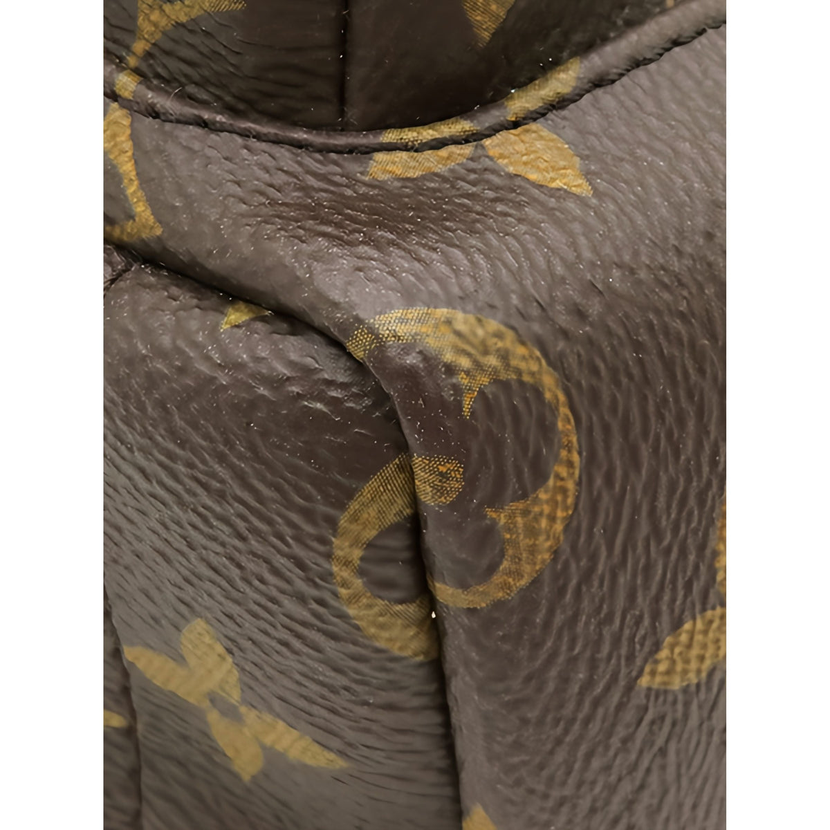 Louis Vuitton Monogram Mini Palm Springs — Brown
