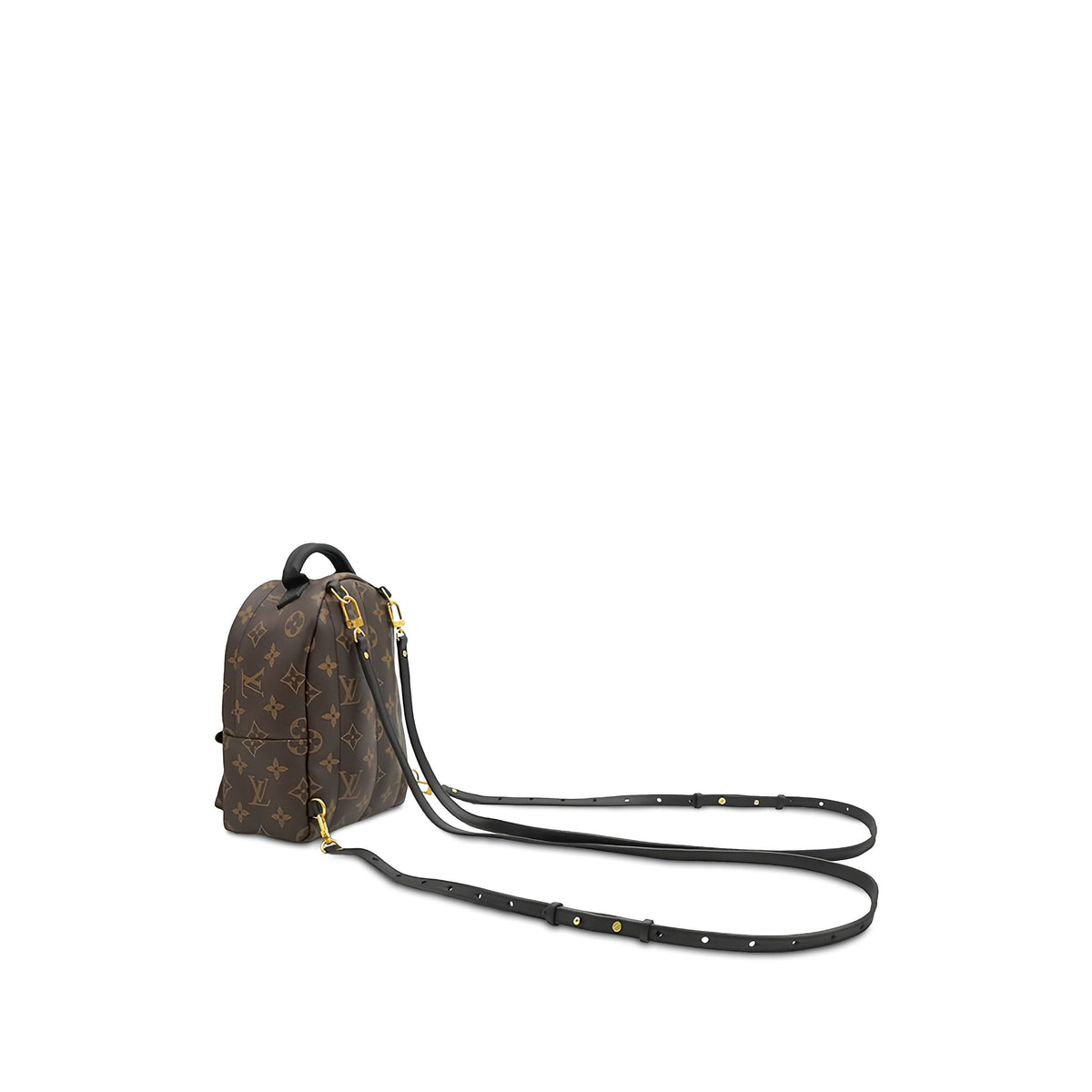 Louis Vuitton Monogram Mini Palm Springs — Brown