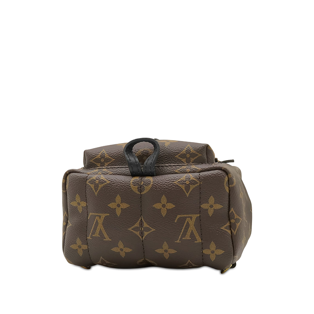 Louis Vuitton Monogram Mini Palm Springs — Brown