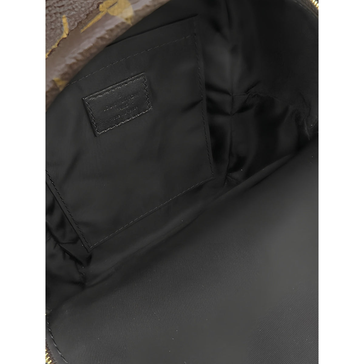 Louis Vuitton Monogram Mini Palm Springs — Brown