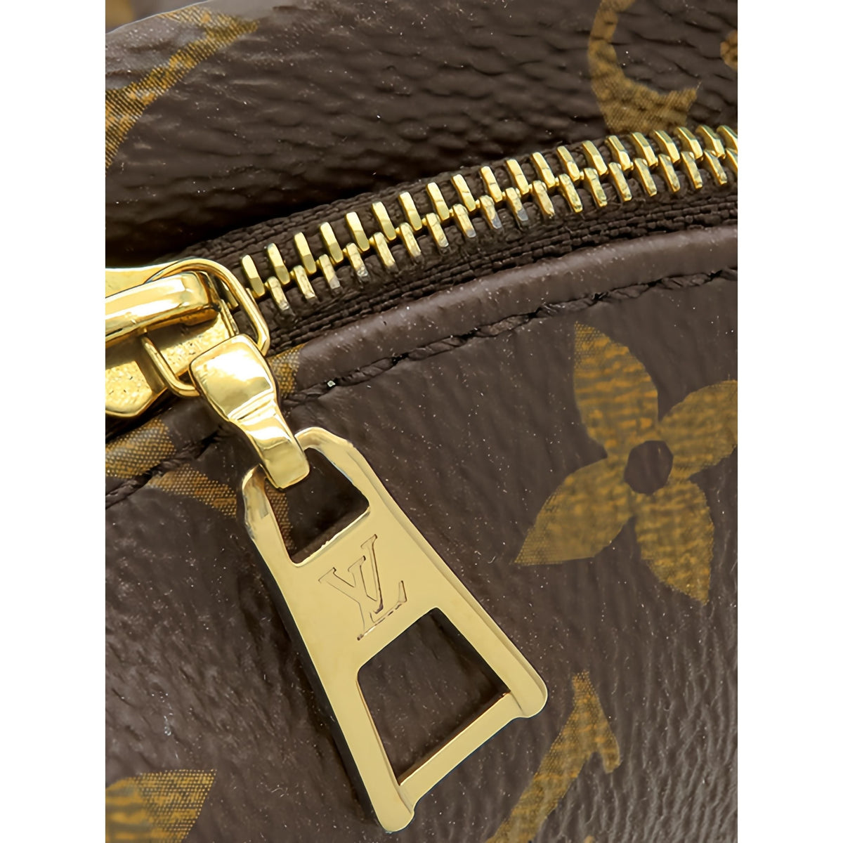 Louis Vuitton Monogram Mini Palm Springs — Brown