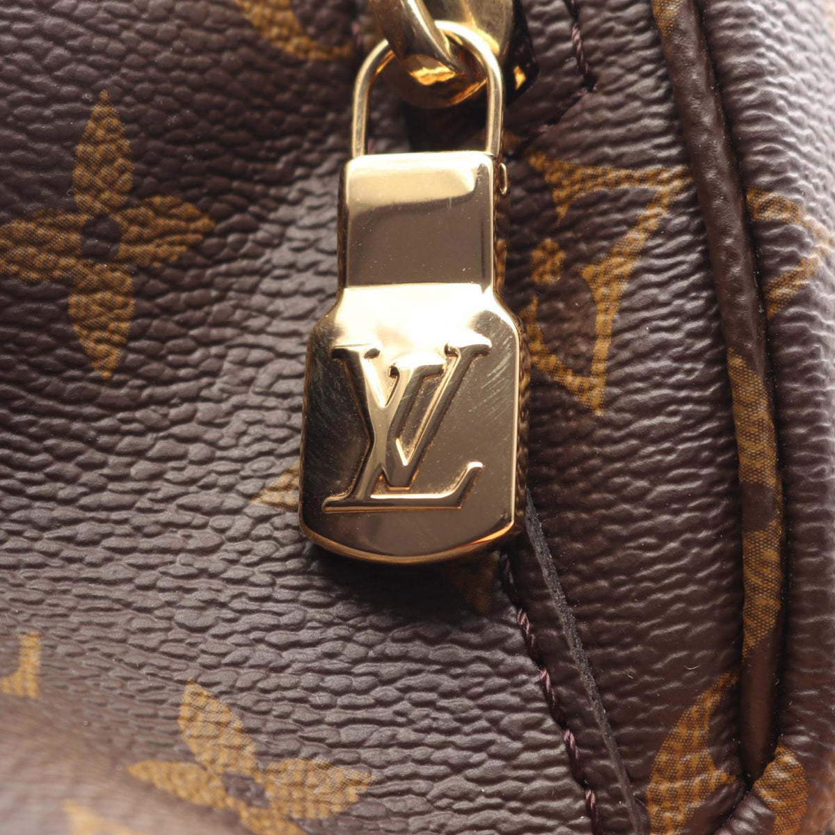 Louis Vuitton Monogram Montsouris PM