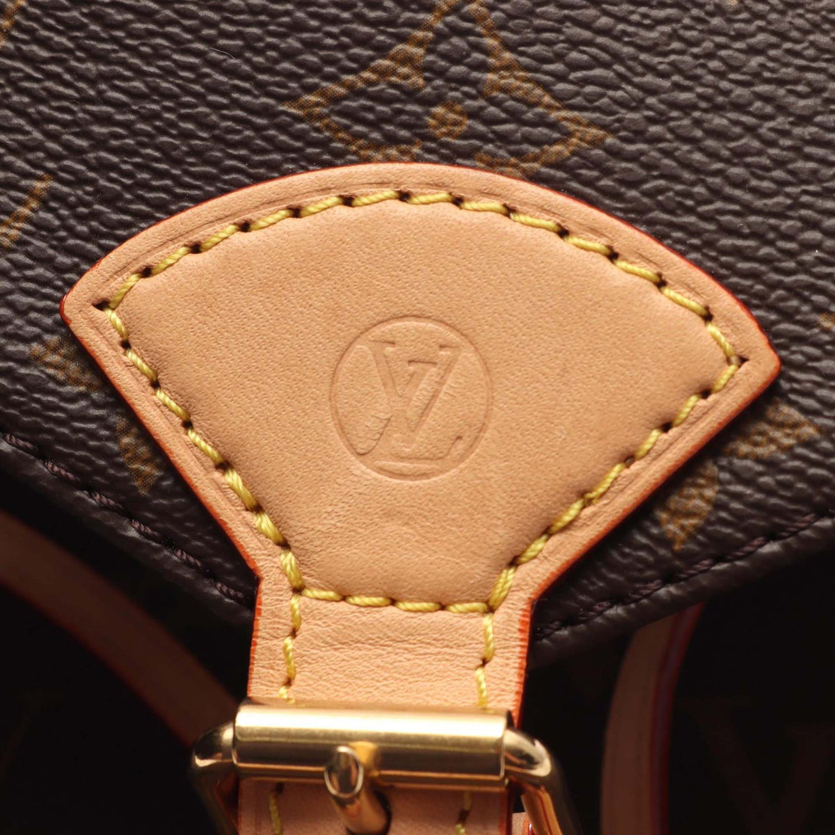 Louis Vuitton Monogram Montsouris PM
