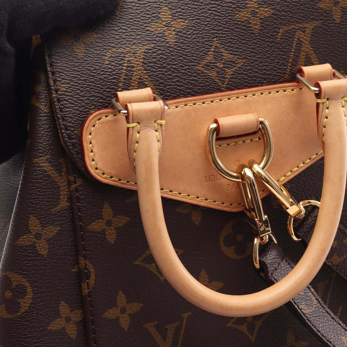 Louis Vuitton Monogram Montsouris PM