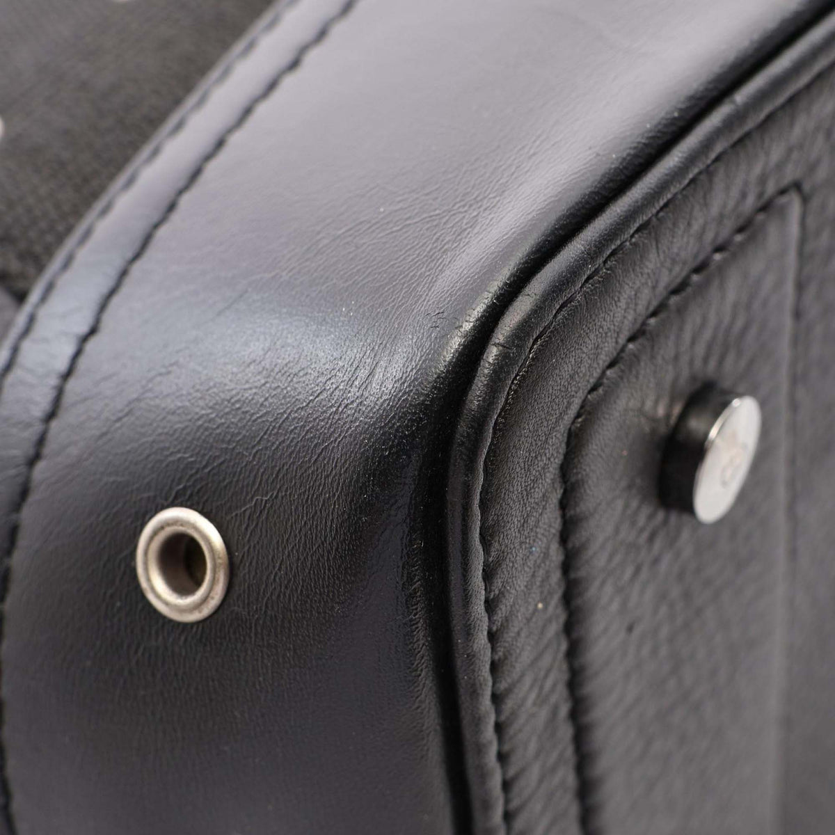 Dior Leather Trotter Street Chic Handbag