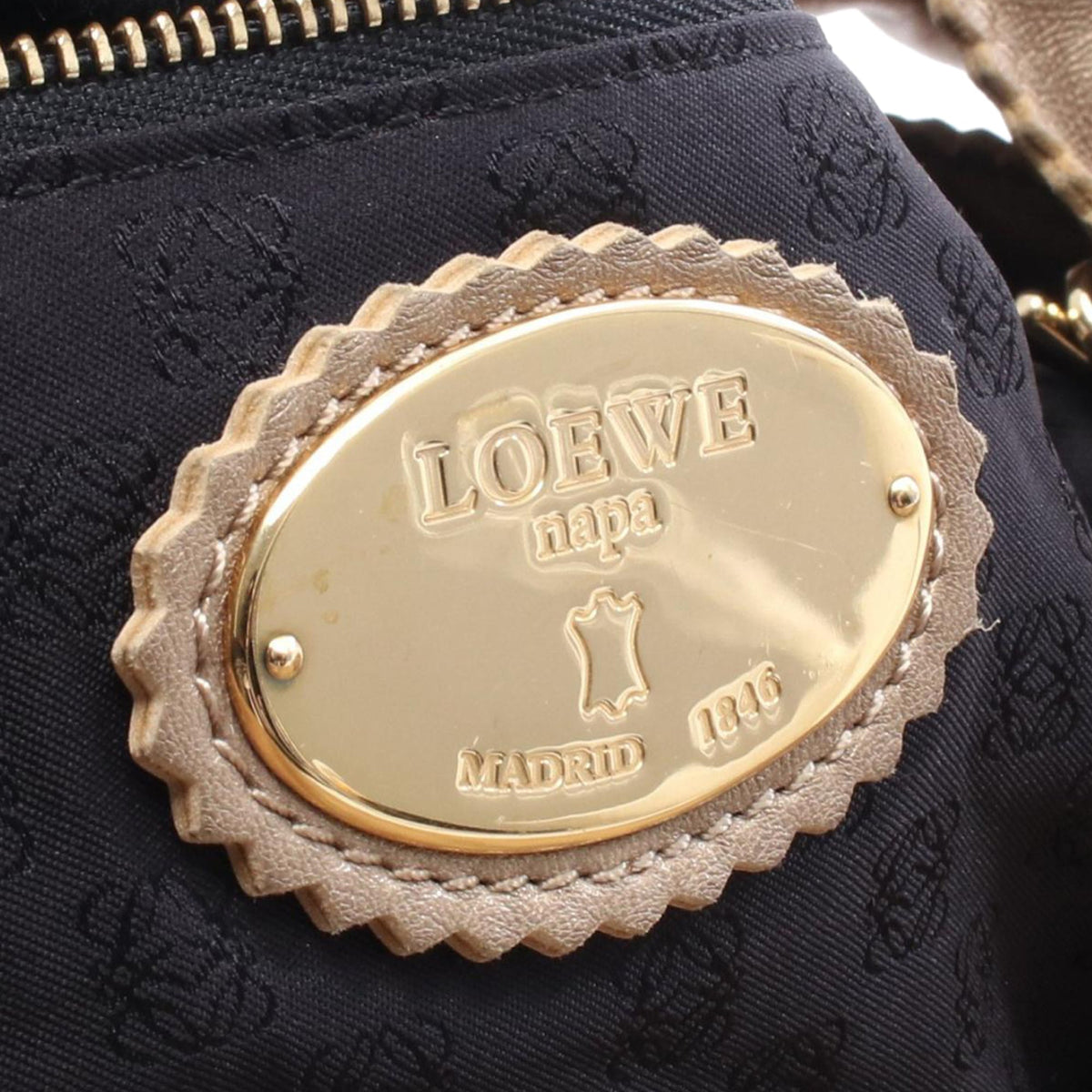 LOEWE Metallic Leather Viento Hobo — Gold