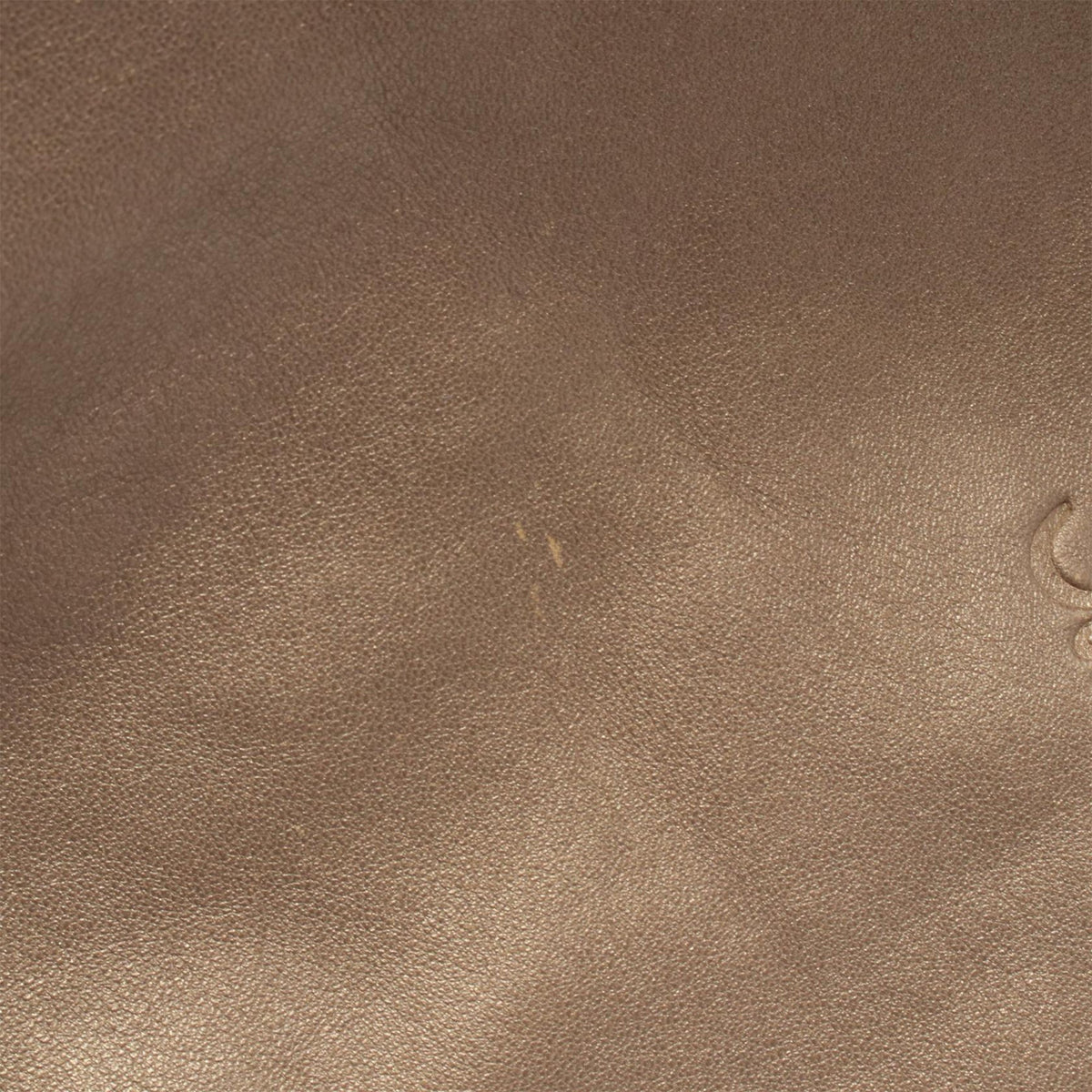 LOEWE Metallic Leather Viento Hobo — Gold