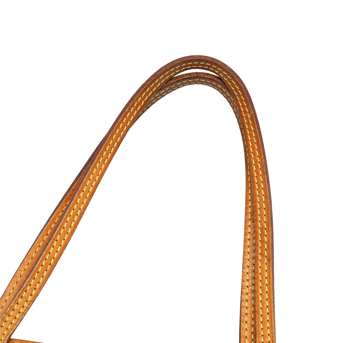 Louis Vuitton Monogram Neverfull PM