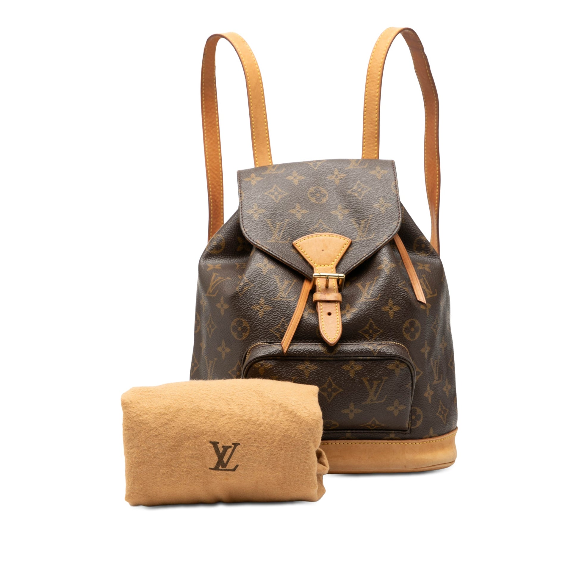 Louis Vuitton Monogram Montsouris PM