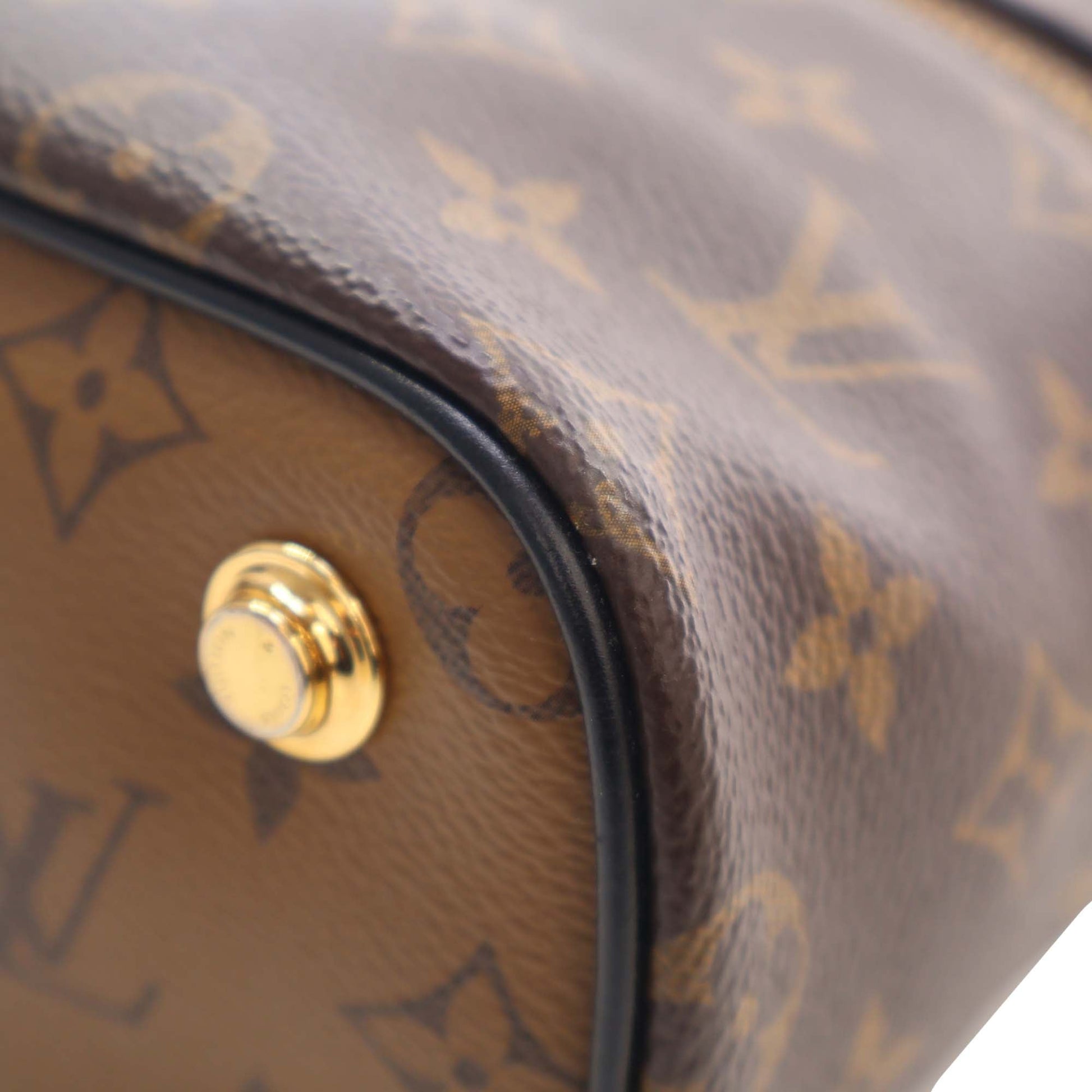 Louis Vuitton Monogram Reverse Vanity PM