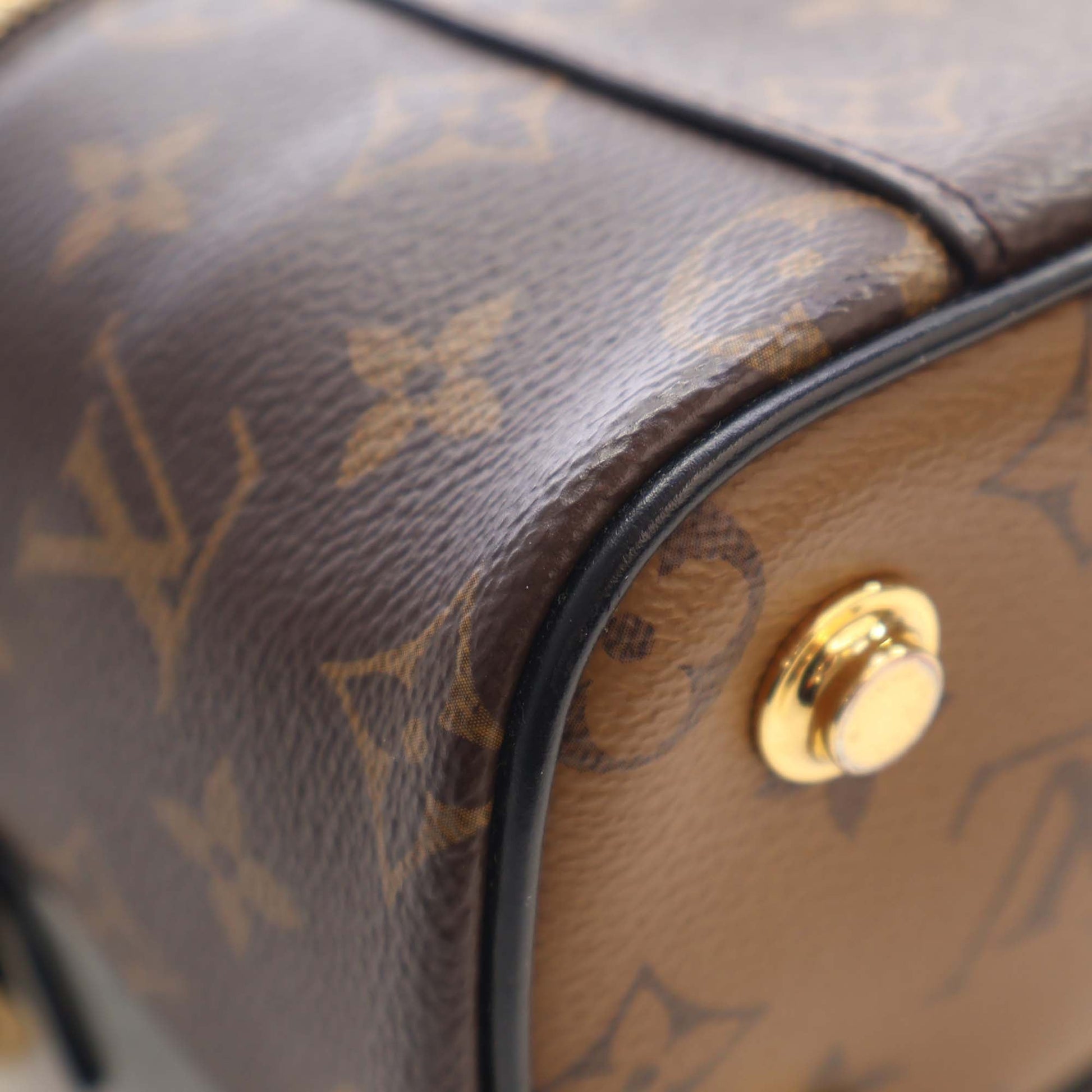 Louis Vuitton Monogram Reverse Vanity PM