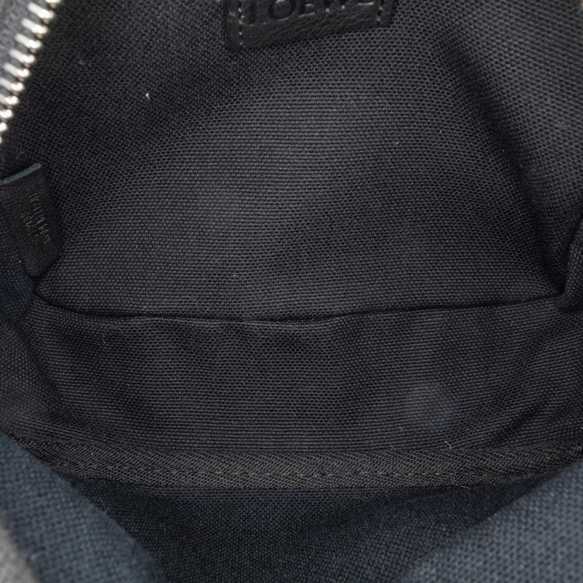 LOEWE Mini Anagram Canvas Logo Camera Bag