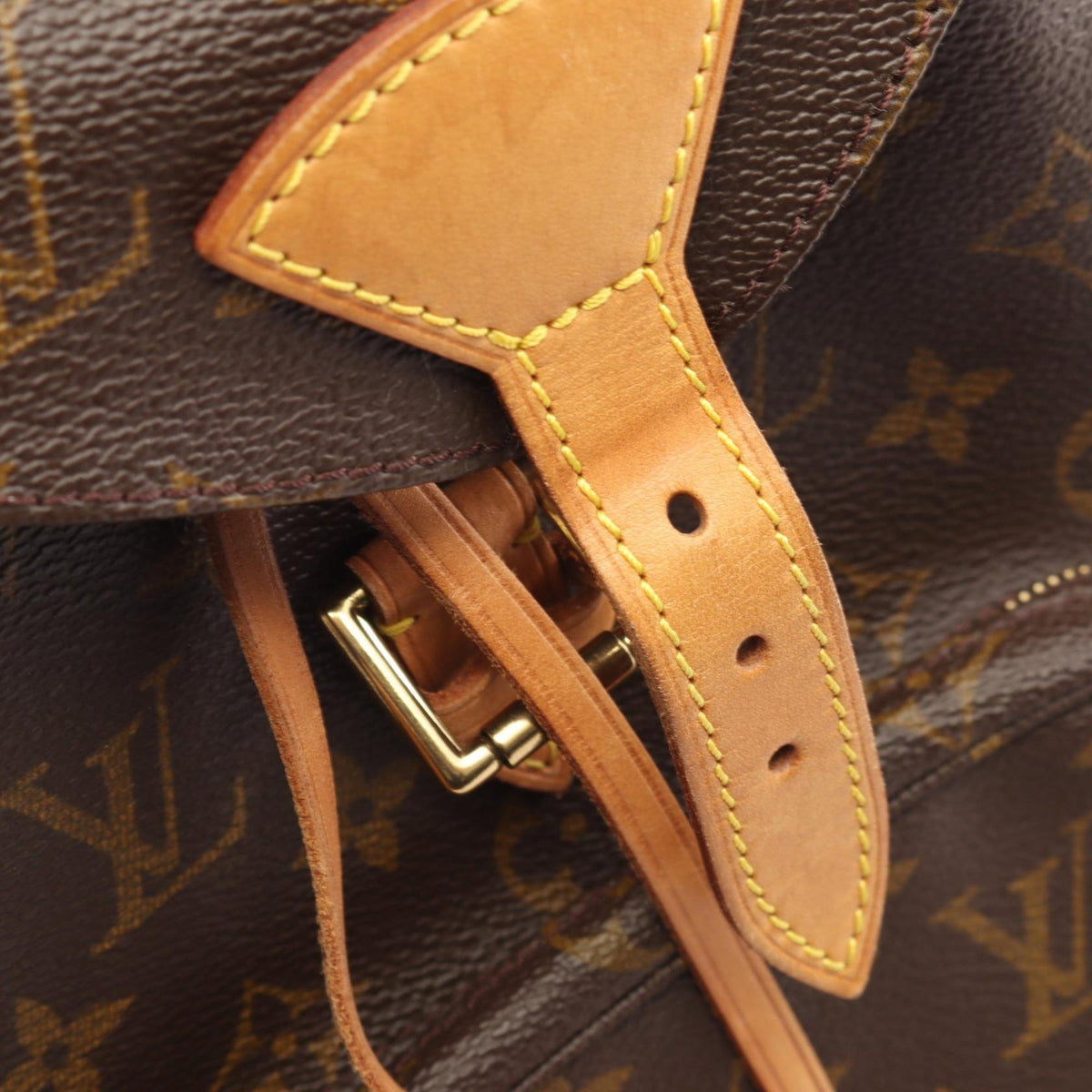 Louis Vuitton Monogram Montsouris MM