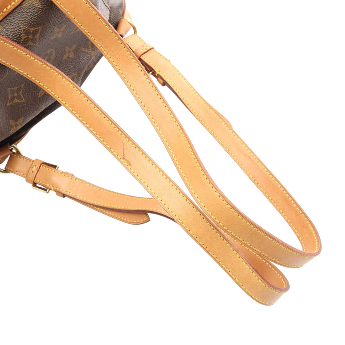 Louis Vuitton Monogram Montsouris MM