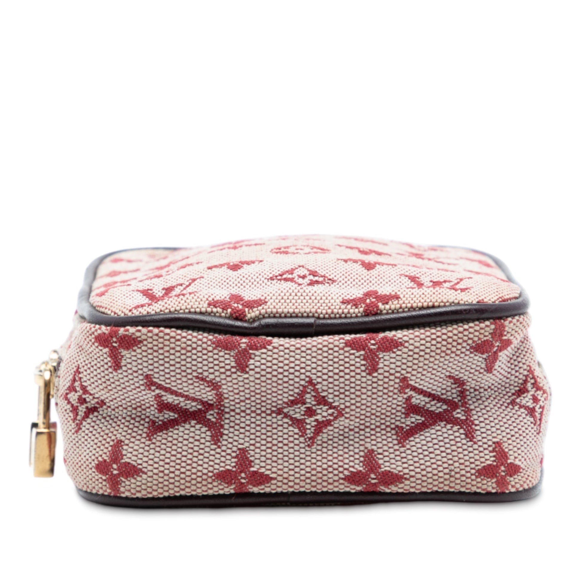 Louis Vuitton Monogram Mini Lin Camera Bag