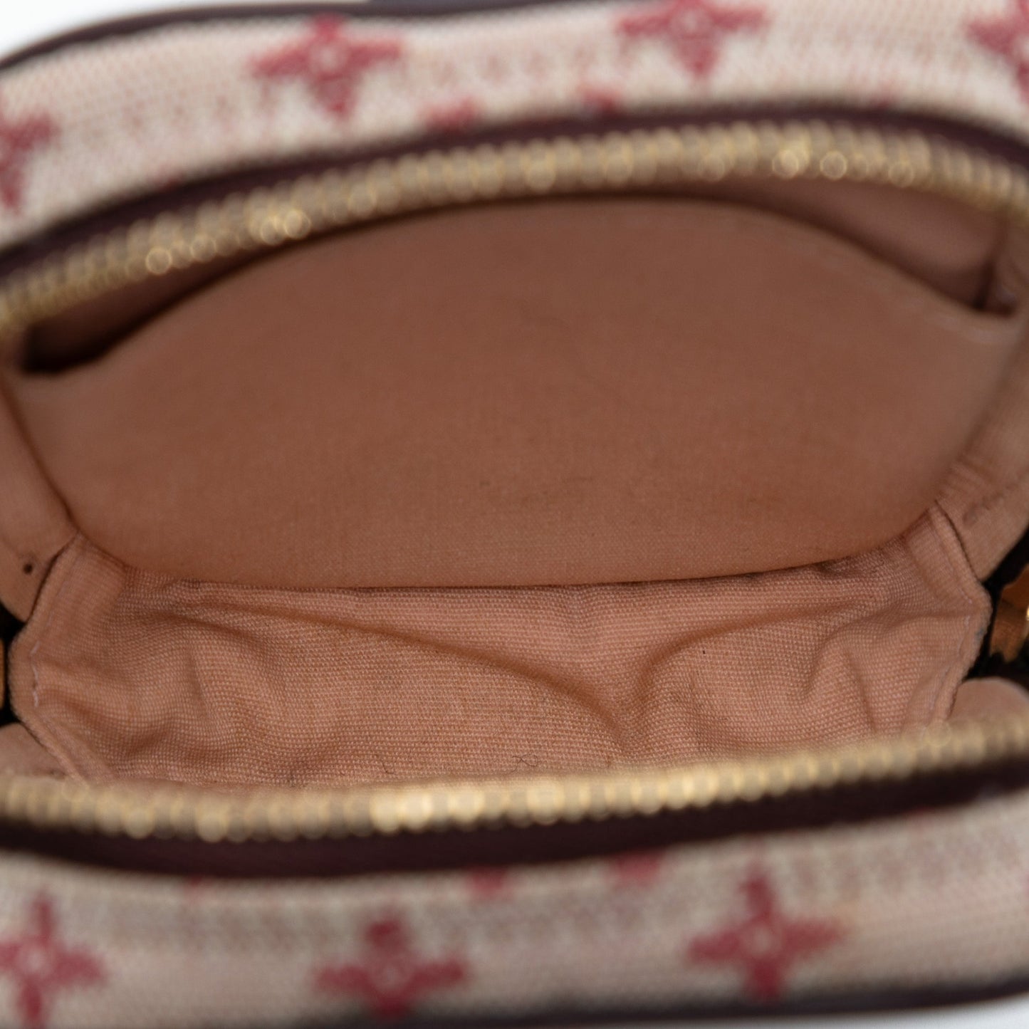 Louis Vuitton Monogram Mini Lin Camera Bag