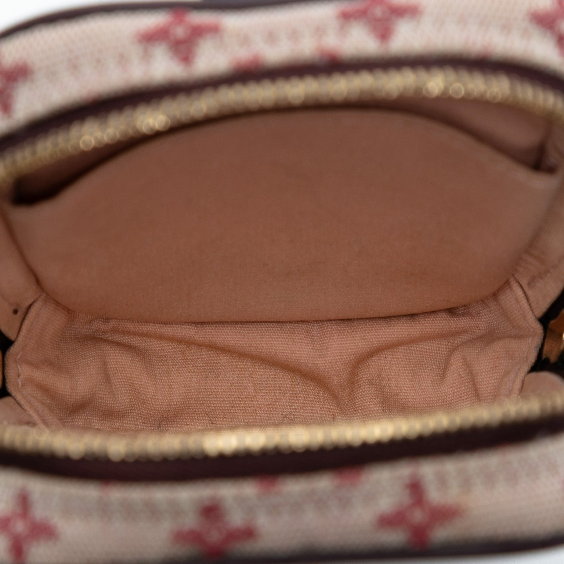 Louis Vuitton Monogram Mini Lin Camera Bag