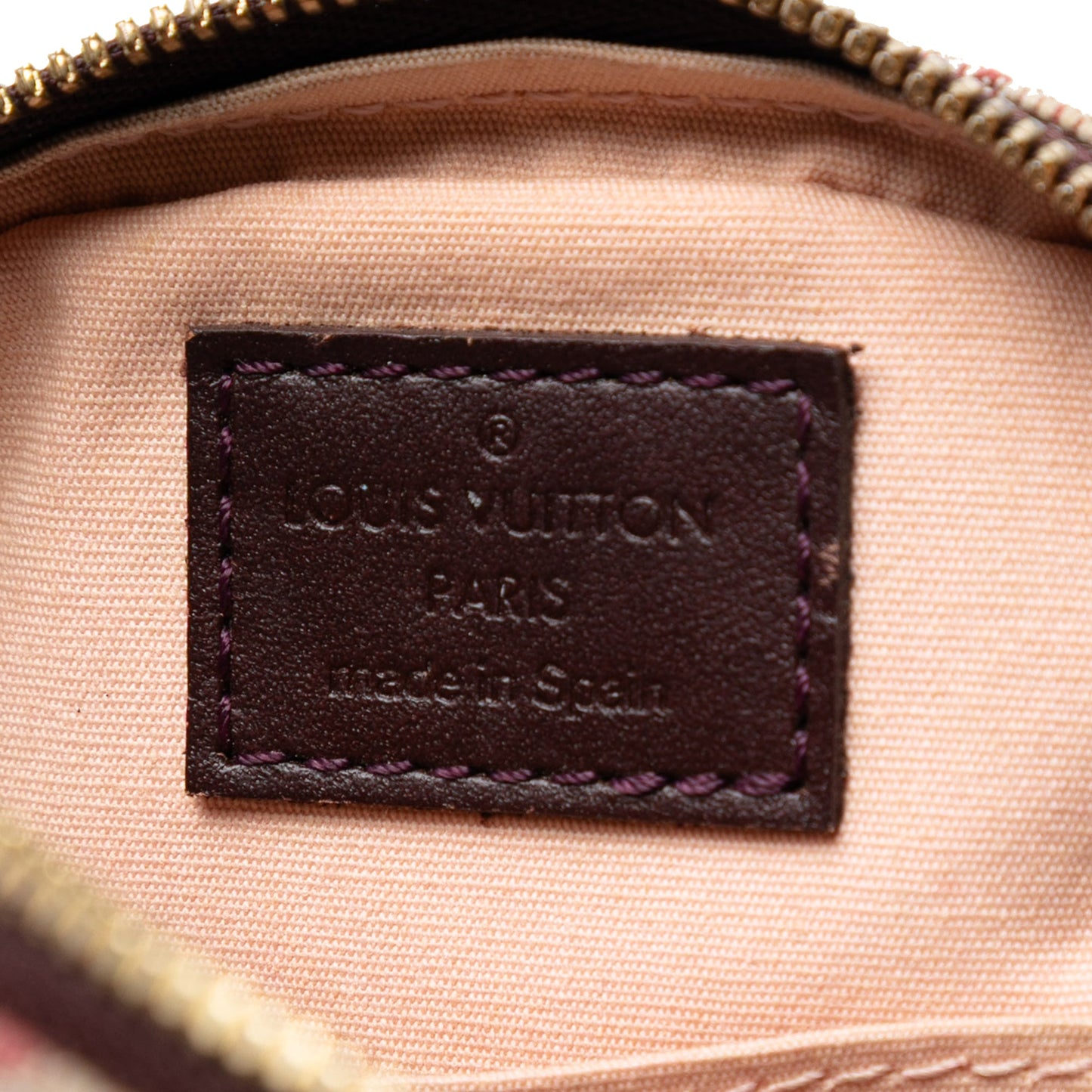 Louis Vuitton Monogram Mini Lin Camera Bag