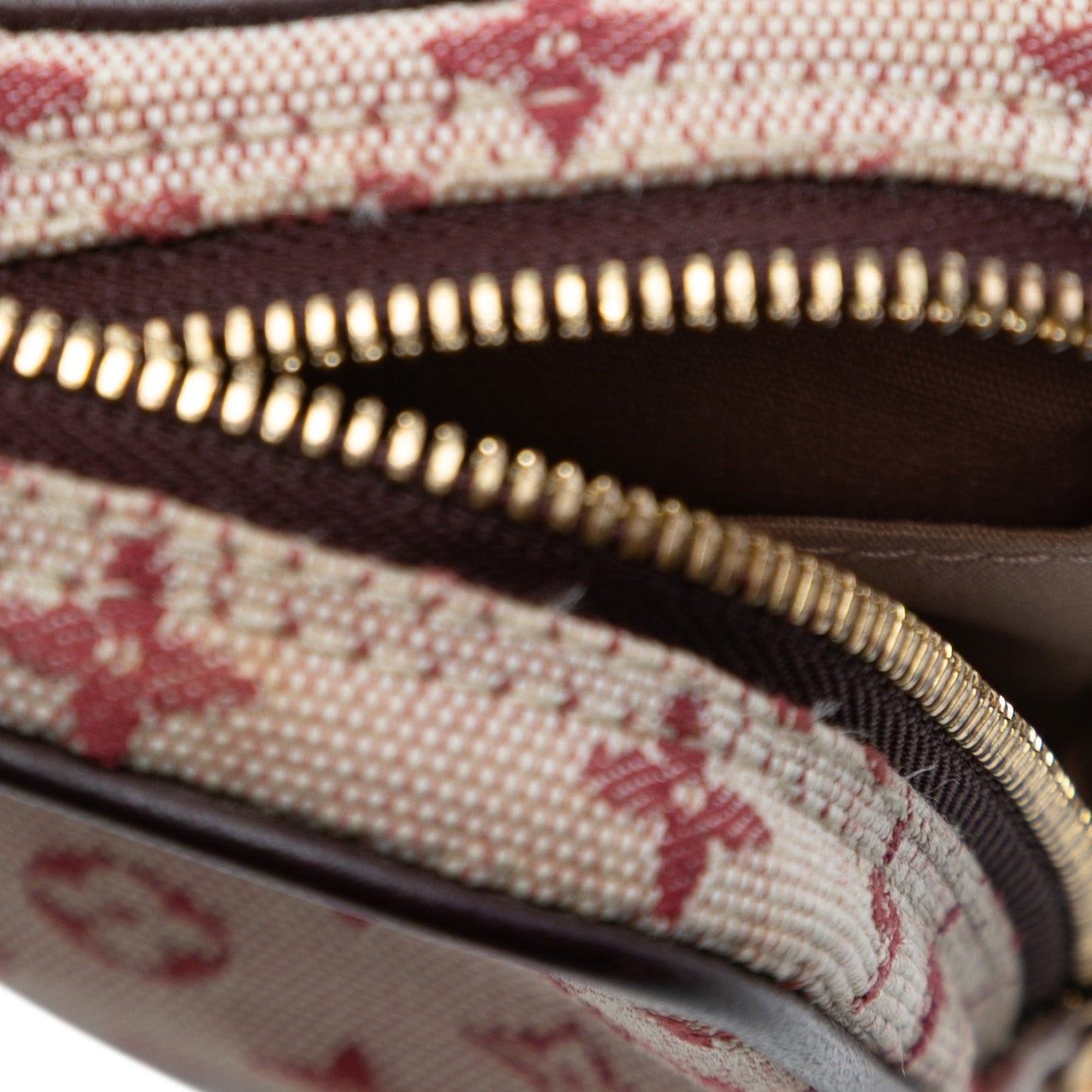 Louis Vuitton Monogram Mini Lin Camera Bag
