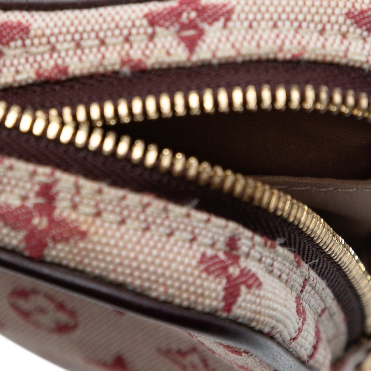 Louis Vuitton Monogram Mini Lin Camera Bag