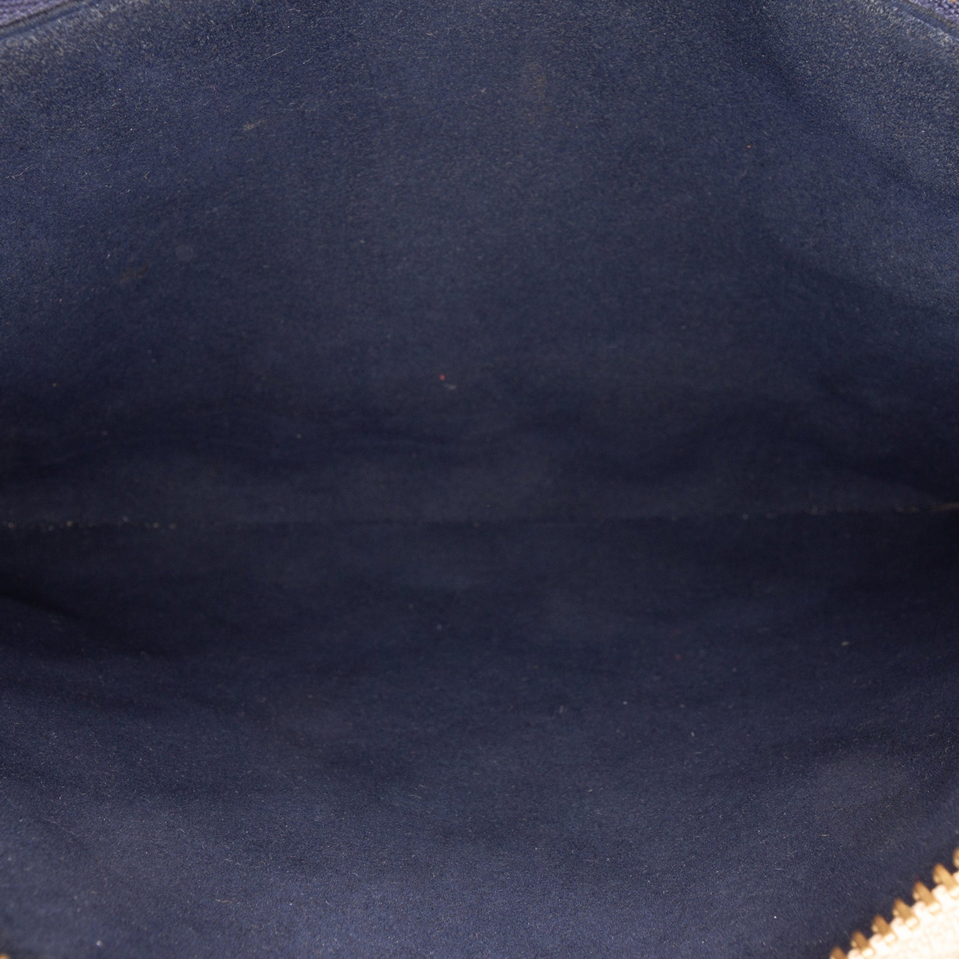 Louis Vuitton Monogram Embossed Puffy Lambskin Coussin PM