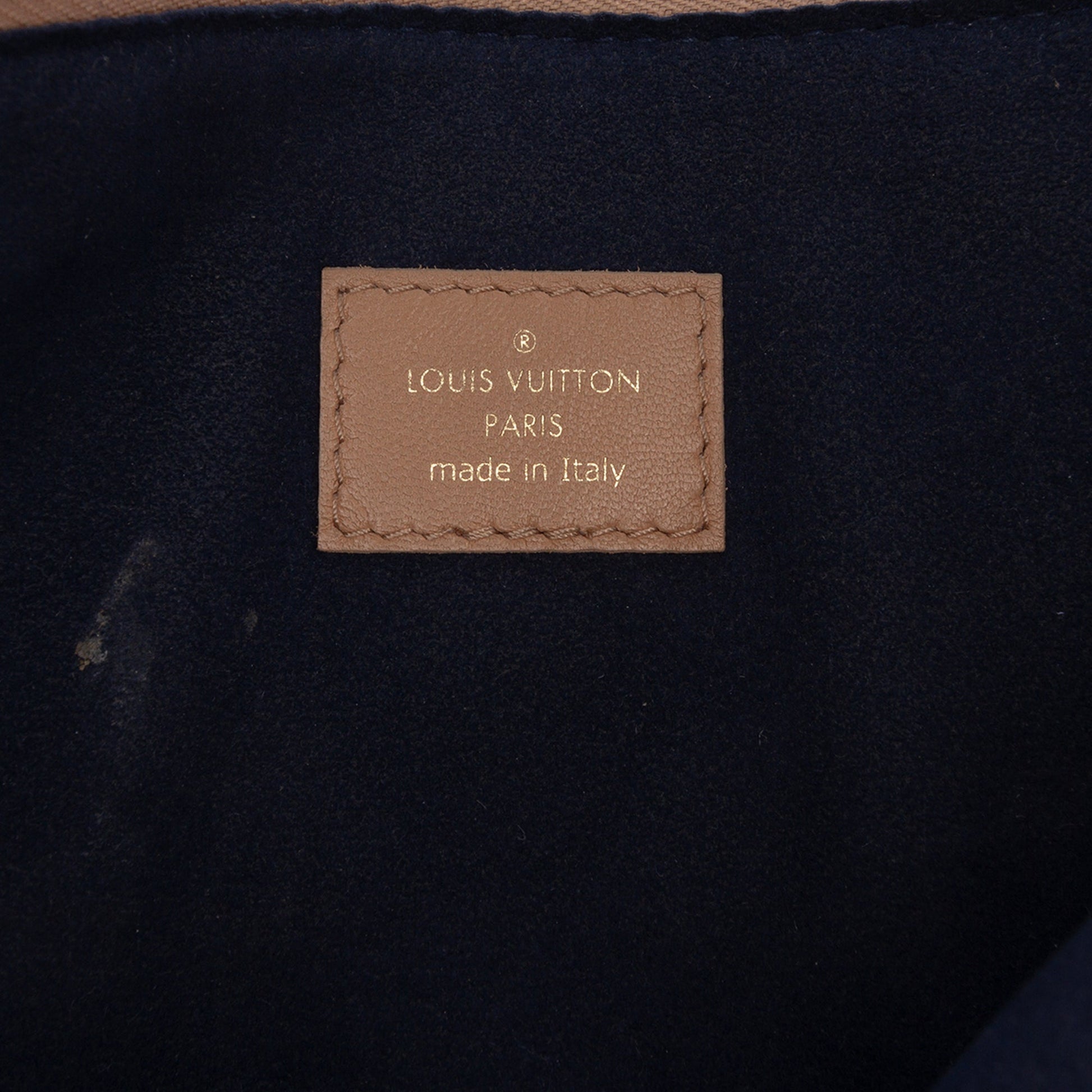 Louis Vuitton Monogram Embossed Puffy Lambskin Coussin PM