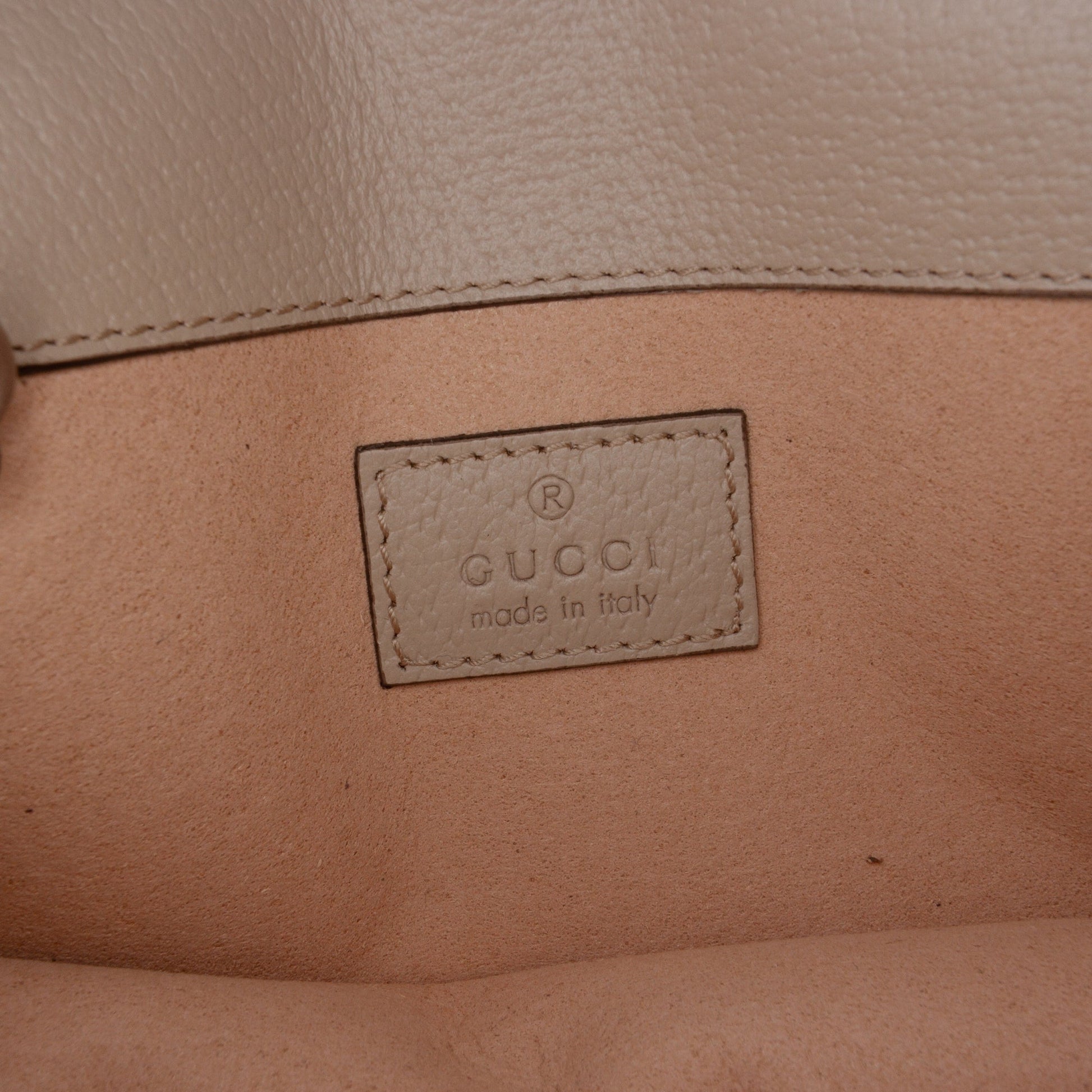 Gucci Mini GG Supreme Dionysus Crossbody
