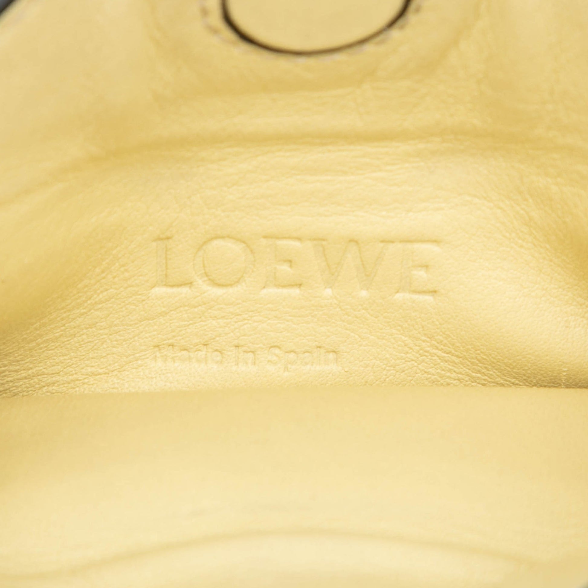 LOEWE Leather Gate Pocket Crossbody