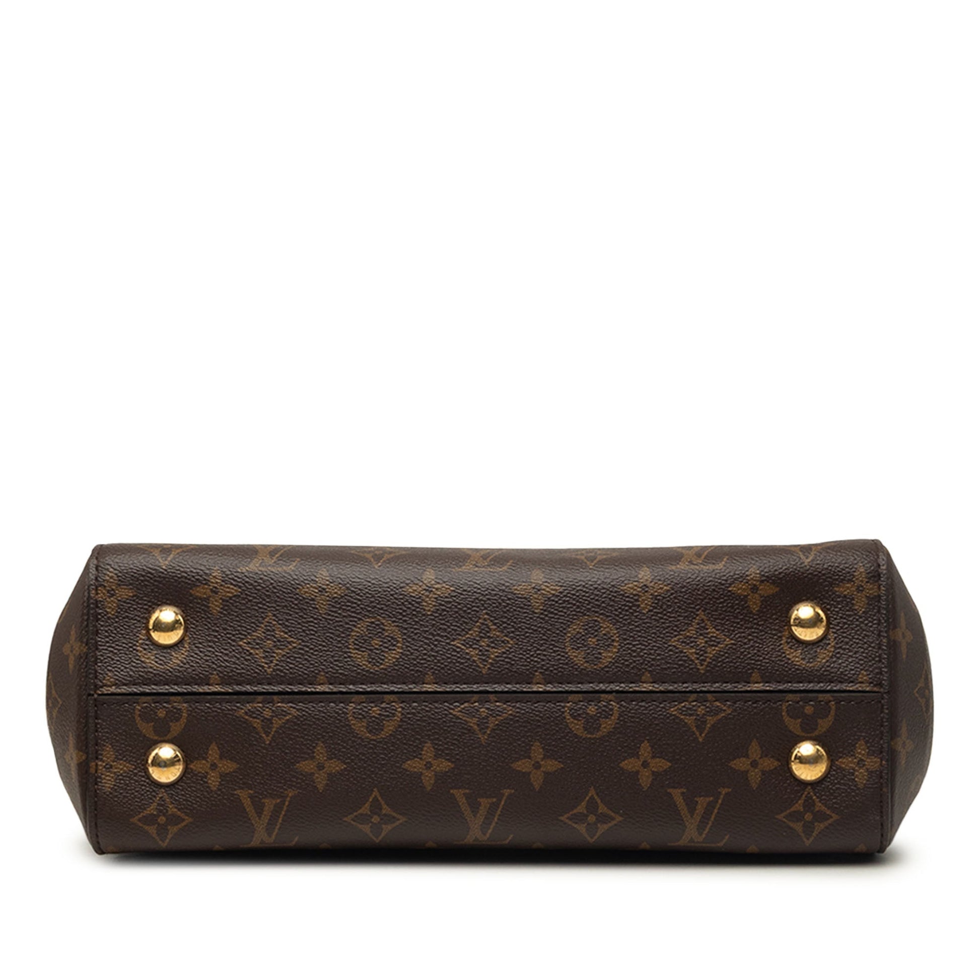 Louis Vuitton Monogram Cluny MM