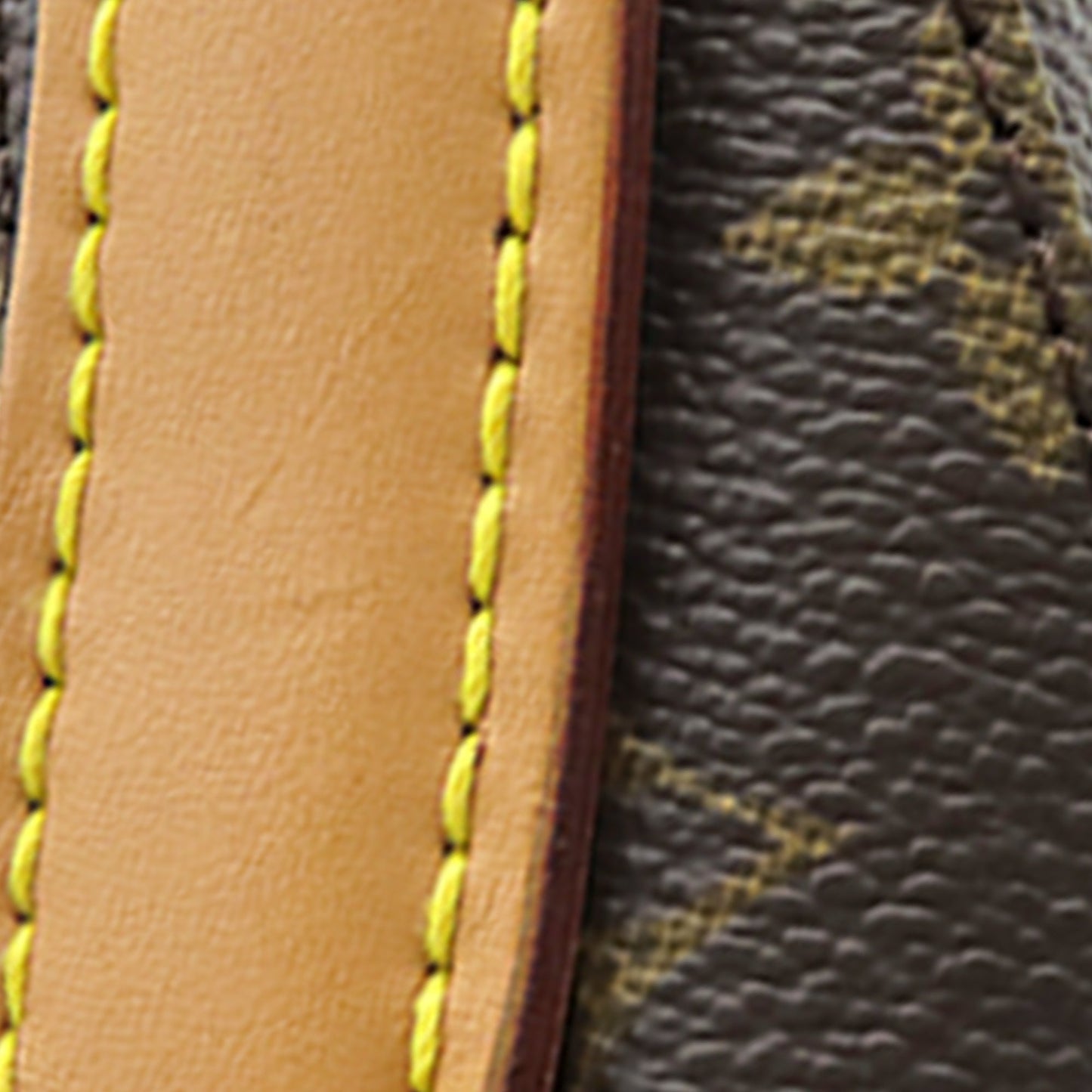Louis Vuitton Monogram Looping GM