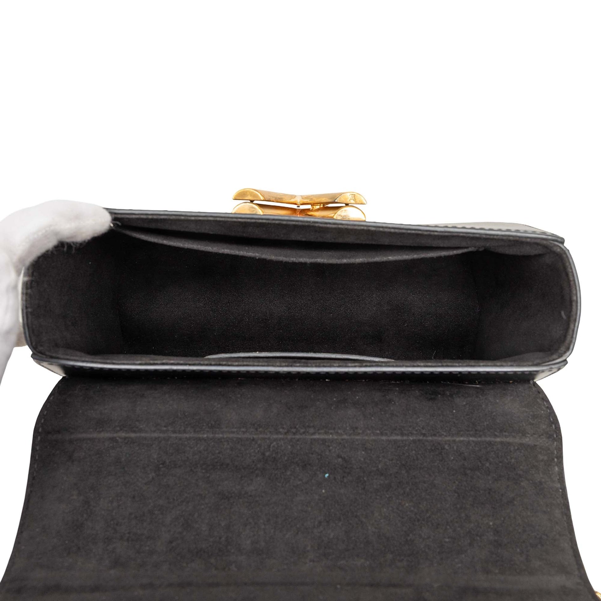 Louis Vuitton Printed Calfskin Twist MM
