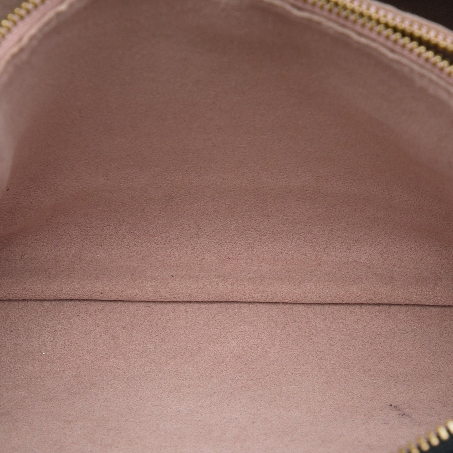Louis Vuitton Monogram Embossed Puffy Lambskin Coussin PM