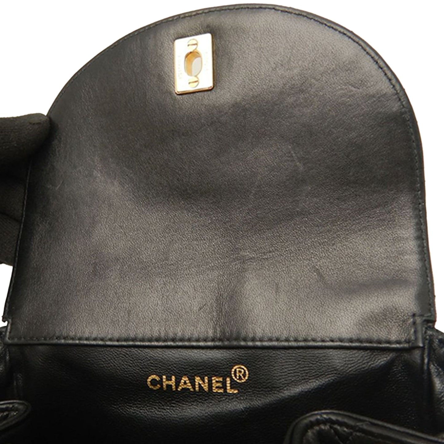 Chanel Medium Quilted Lambskin Duma Backpack