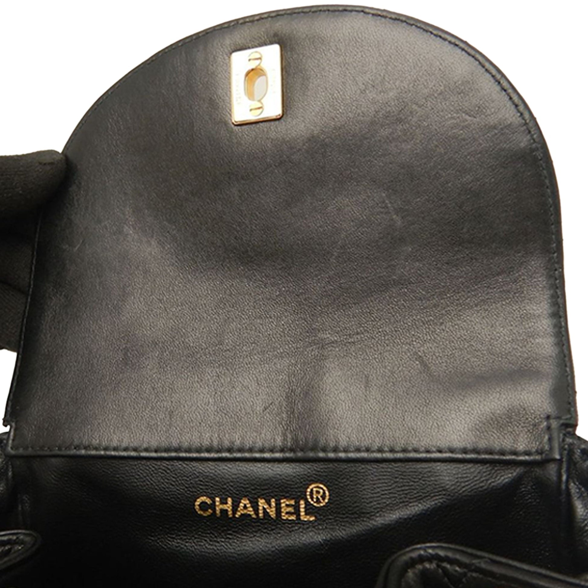 Chanel Medium Quilted Lambskin Duma Backpack