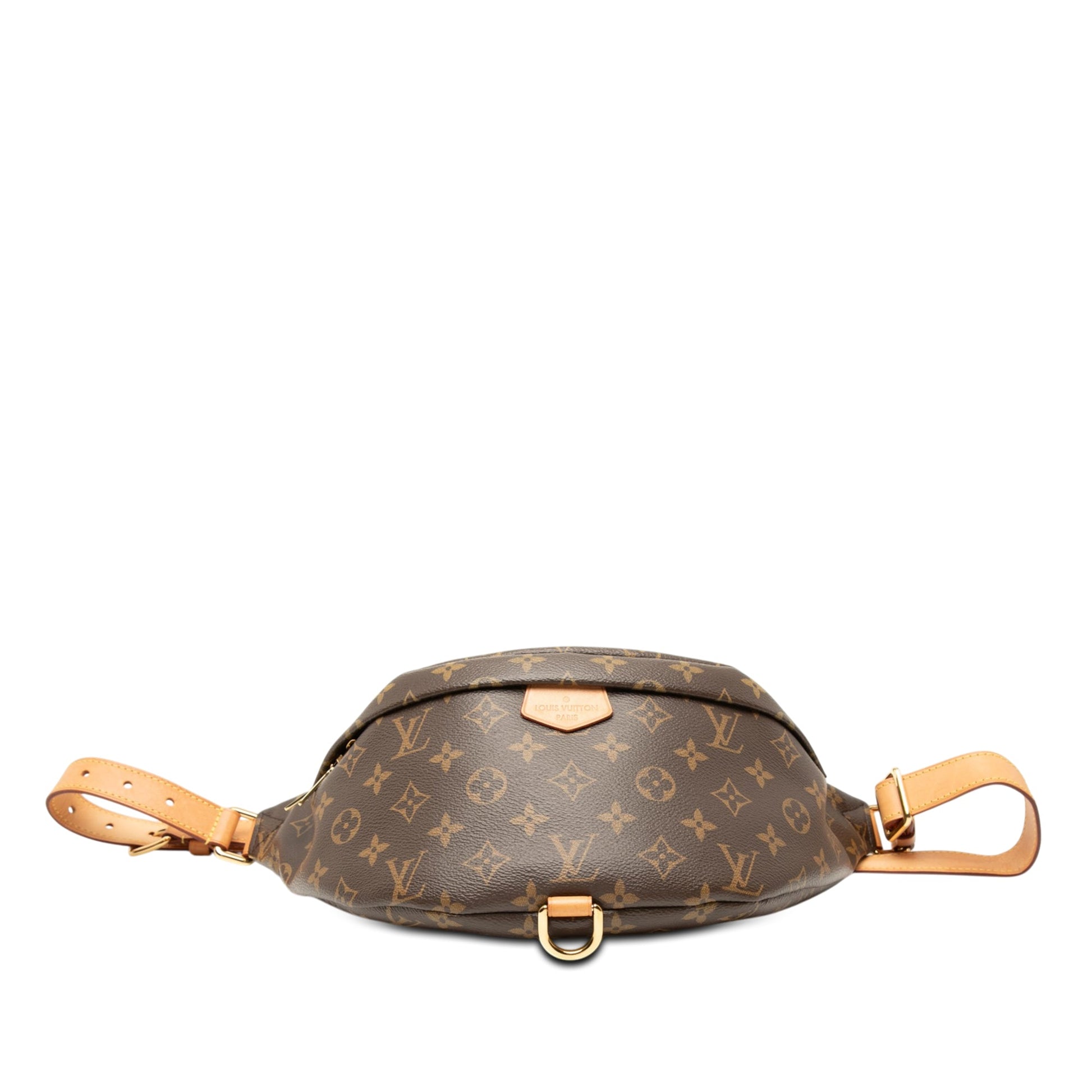 Louis Vuitton Monogram Bumbag