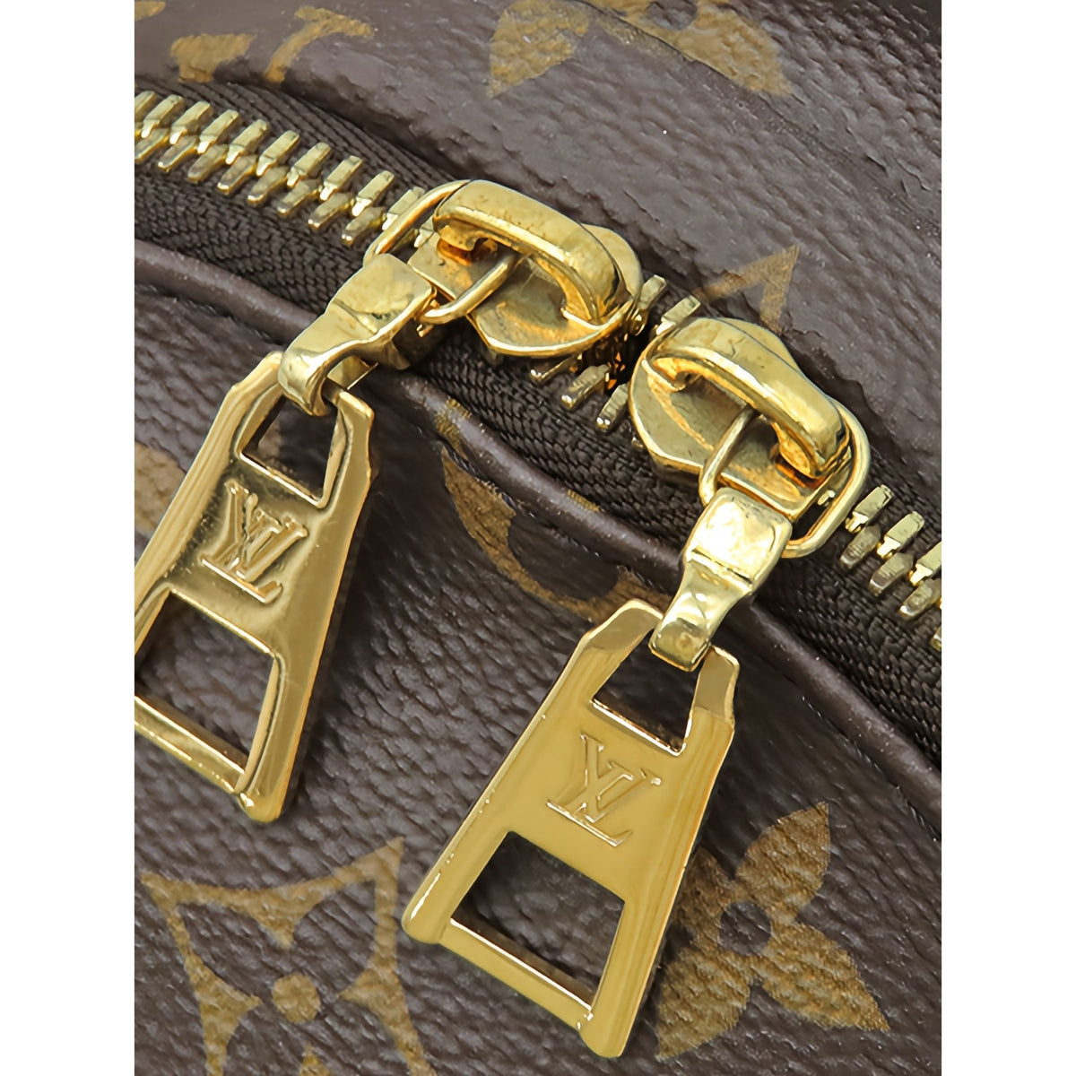 Louis Vuitton Monogram Palm Springs PM — Brown